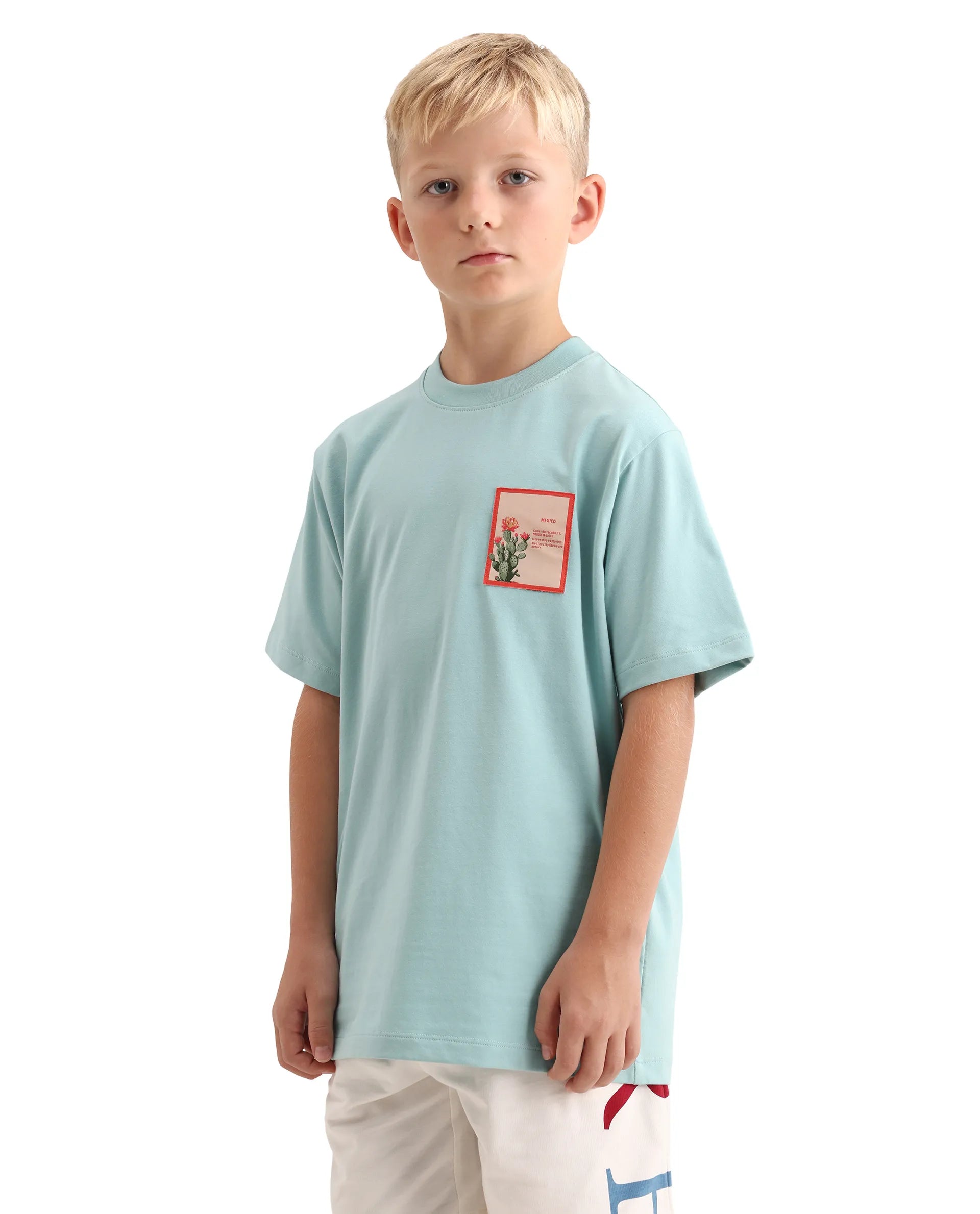 Rare Ones Kids Citz-26 Dusky Blue Cotton Blend Fabric Pull-On Closure Regular Fit T-Shirt