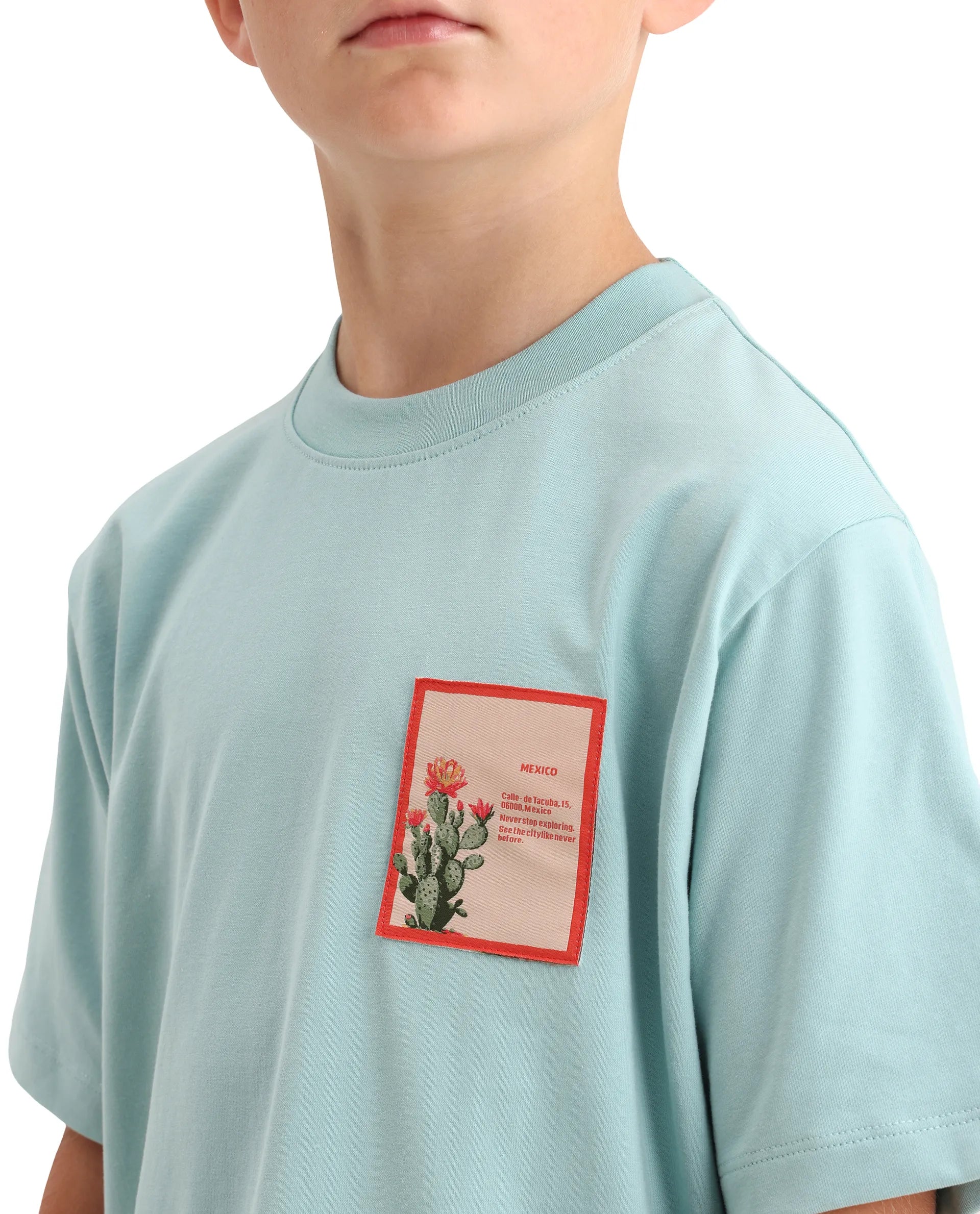 Rare Ones Kids Citz-26 Dusky Blue Cotton Blend Fabric Pull-On Closure Regular Fit T-Shirt