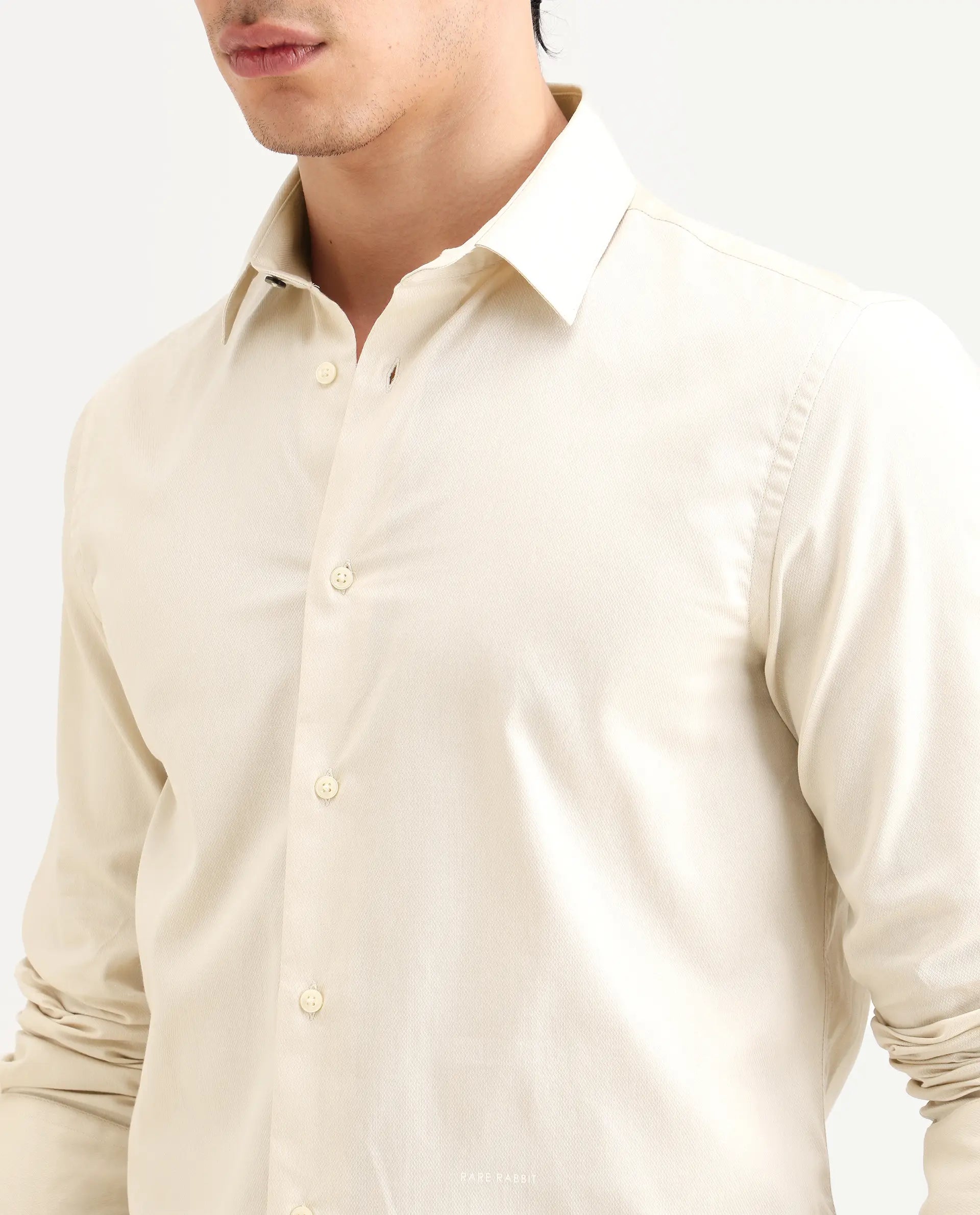 Rare Rabbit Men's Armeno Light Beige Cotton Fabric Full Sleeve Spread Collar Regular Fit Plain Shirt