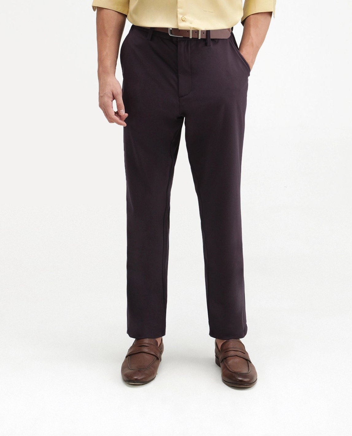 Rare Rabbit Men's Alvs Dark Purple Polyester Fabric Regular Fit Plain Trouser