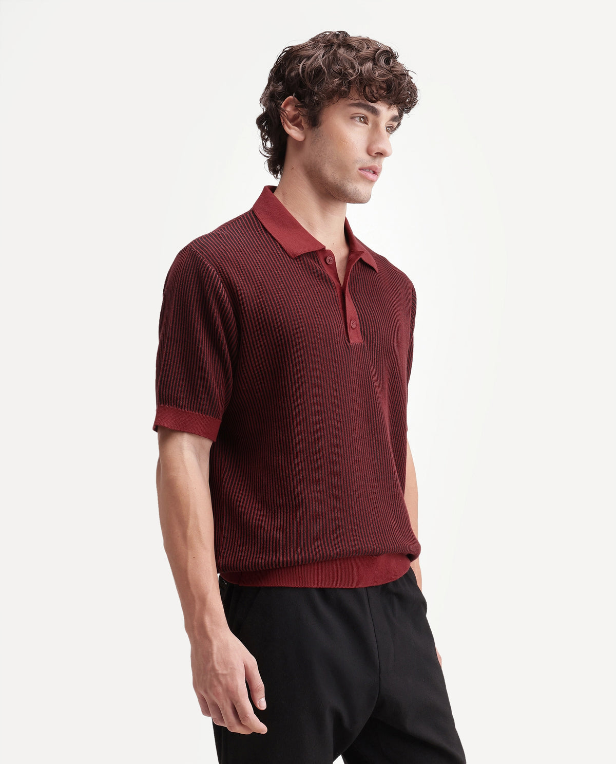 Rare Rabbit Men's Hof Dark Red Cotton Spread Collar Button Regular Striped Polo