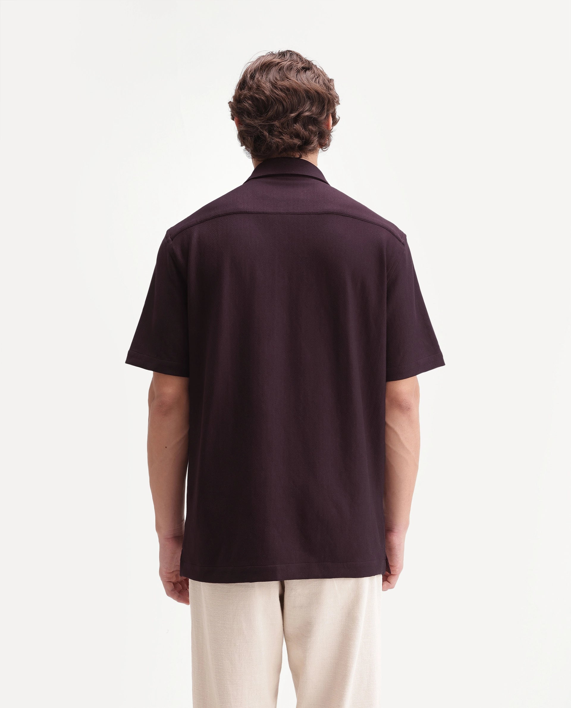 Rare Rabbit Men's Leno Dark Purple Cotton Blend Fabric Spread Collar Regular Fit Plain Shirt