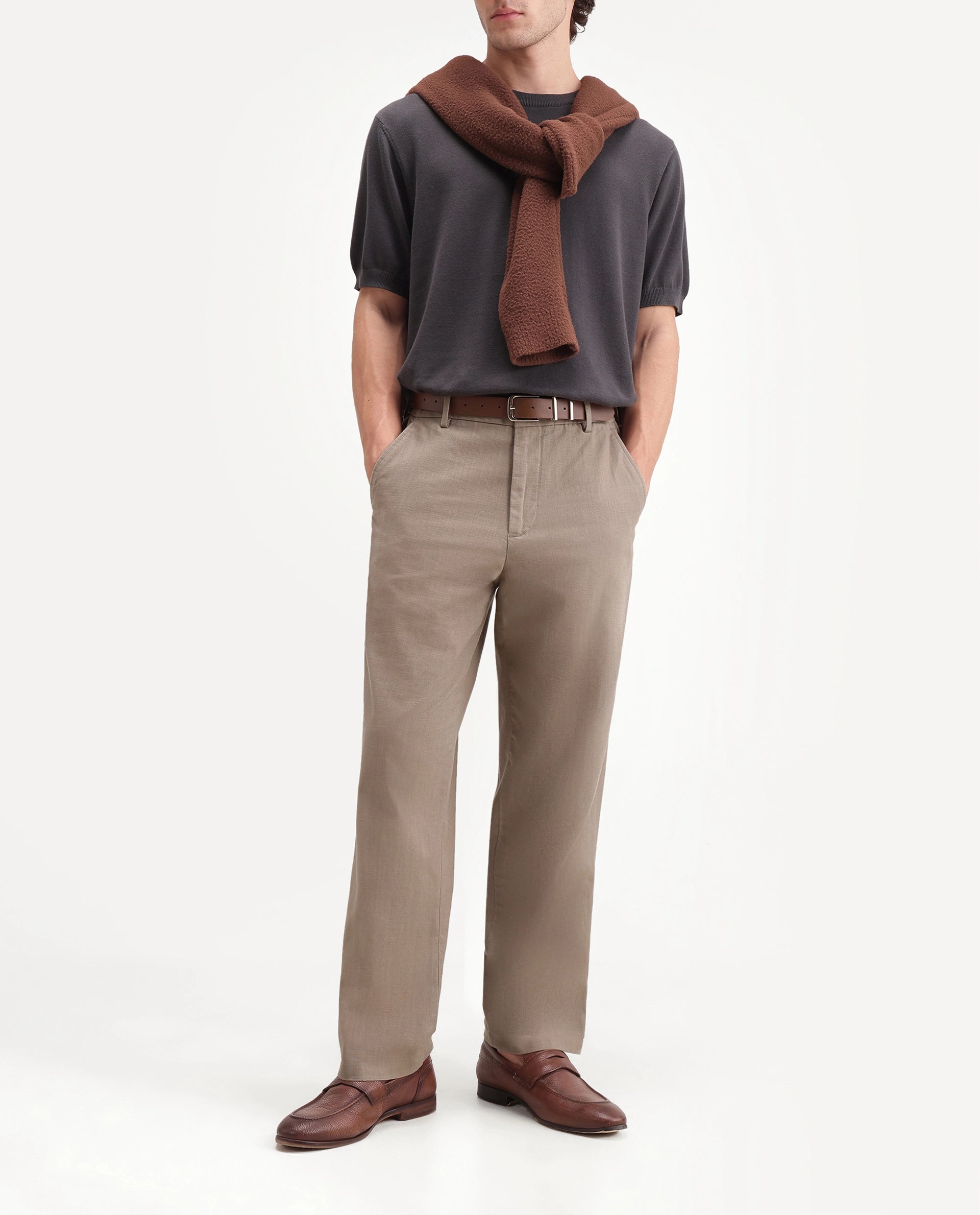 Rare Rabbit Men's Forge Dark Beige Linen Blend Fabric Regular Fit Plain Trouser