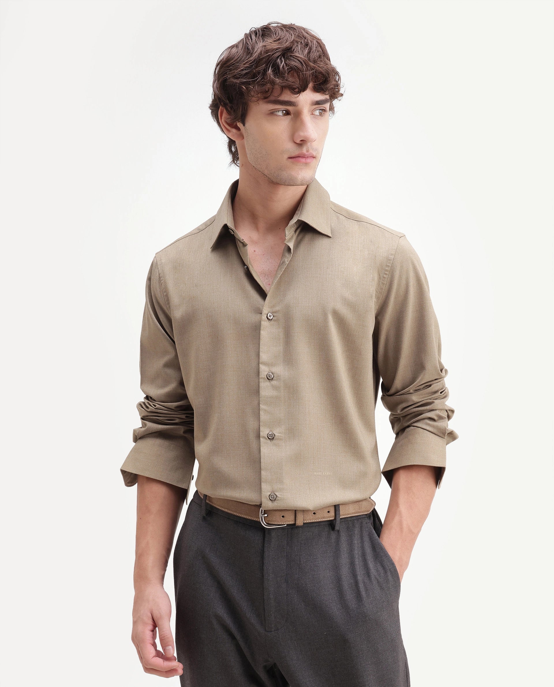 Rare Rabbit Men's Gunjo-Aw26 Dusky Green Polyester Blend Spread Collar Regular Plain Shirt