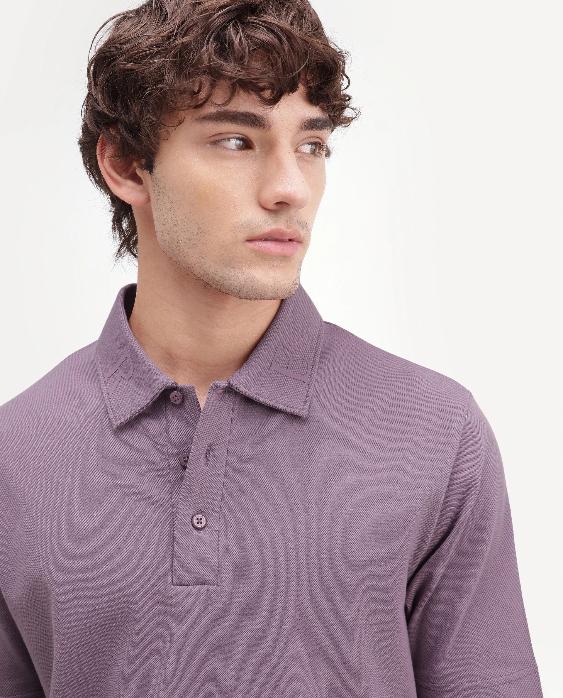 Rare Rabbit Men's Fabios Dusky Purple Cotton Regular Fit Half Sleeves Plain Polo
