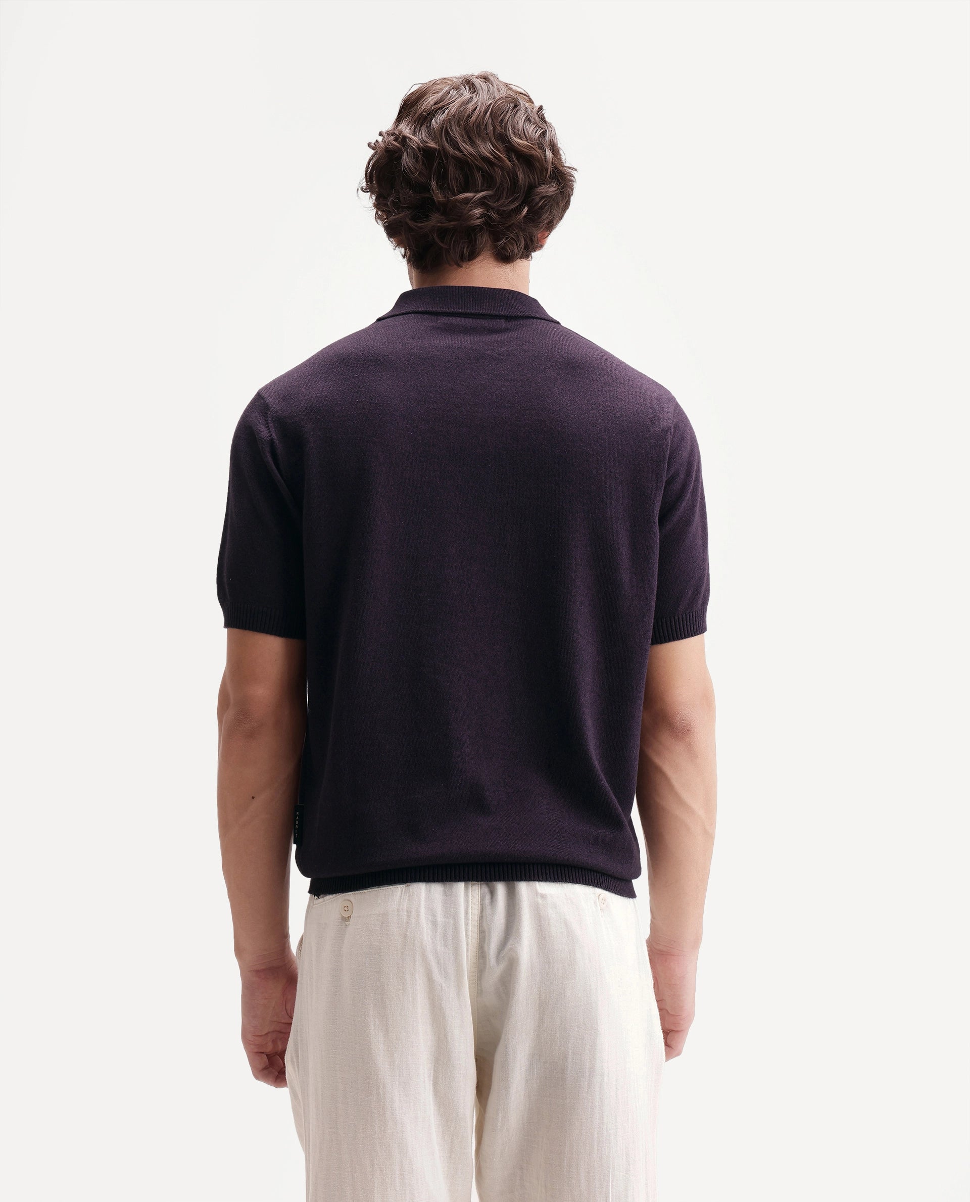 Rare Rabbit Men's Aldro Dark Purple Cotton Blend Johnny Collar Regular Plain Polo