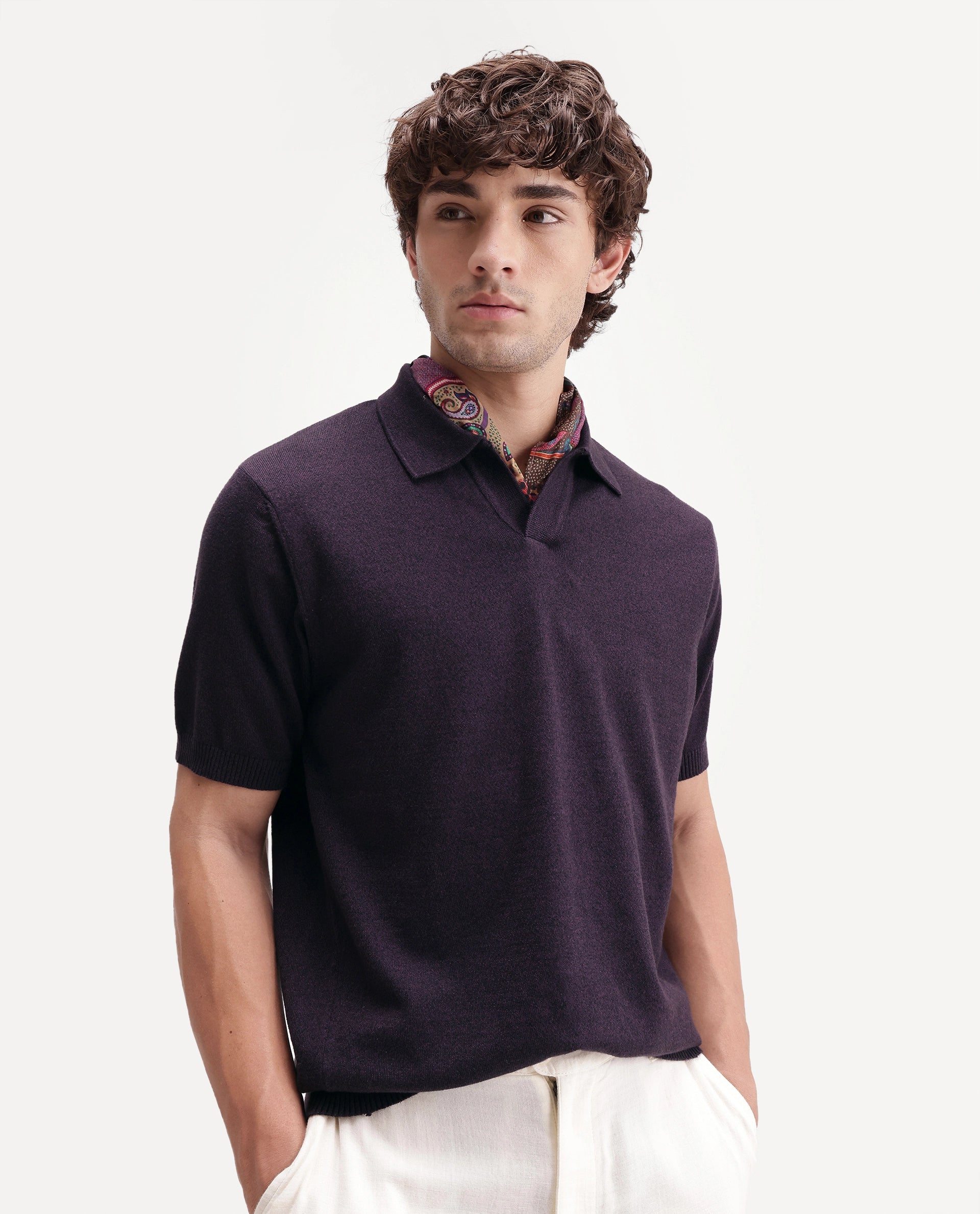 Rare Rabbit Men's Aldro Dark Purple Cotton Blend Johnny Collar Regular Plain Polo