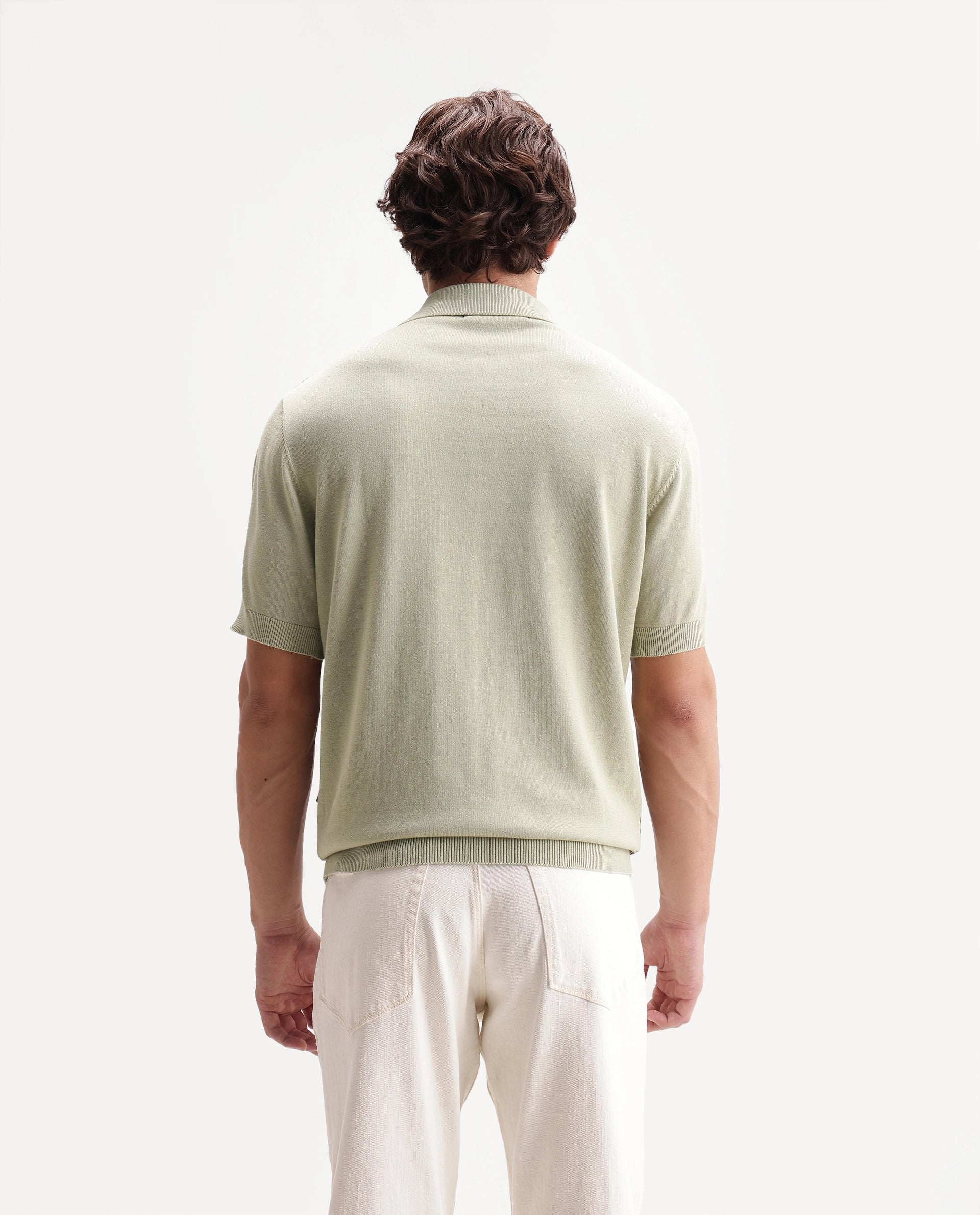 Rare Rabbit Men's Prito Pastel Green Cotton Spread Collar Regular Plain Polo