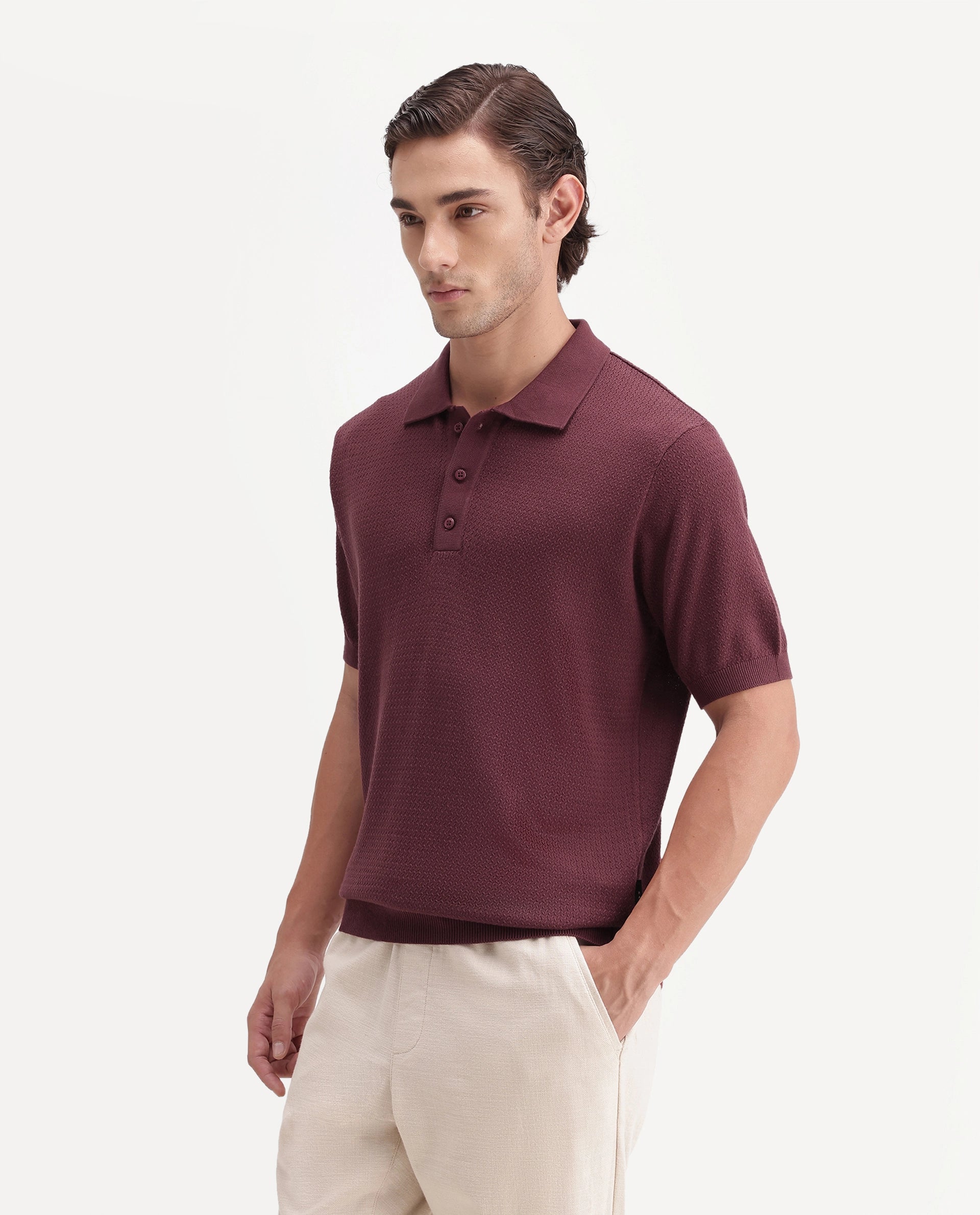 Rare Rabbit Men's Tine Maroon Cotton Spread Collar Regular Textured Polo