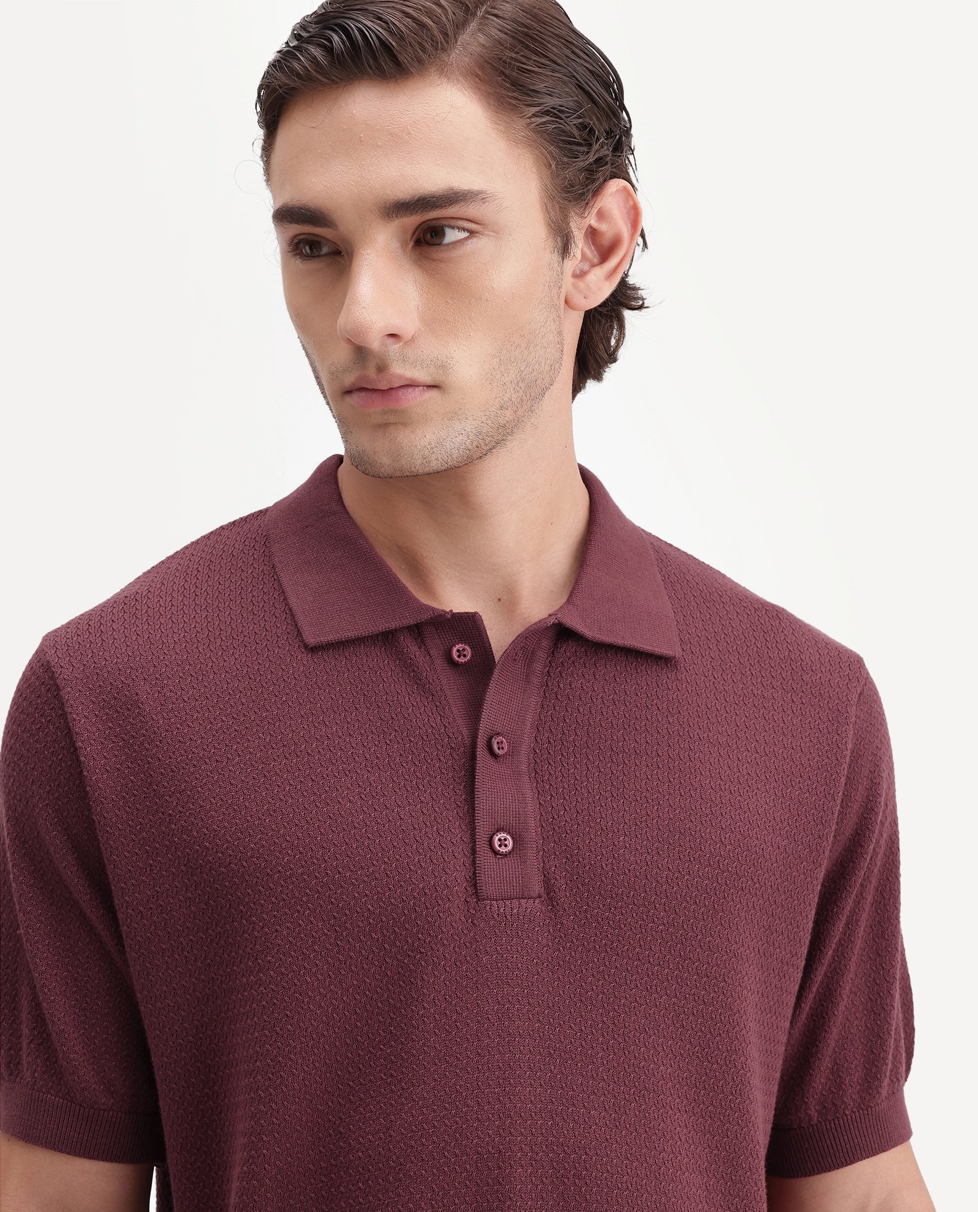 Rare Rabbit Men's Tine Maroon Cotton Spread Collar Regular Textured Polo