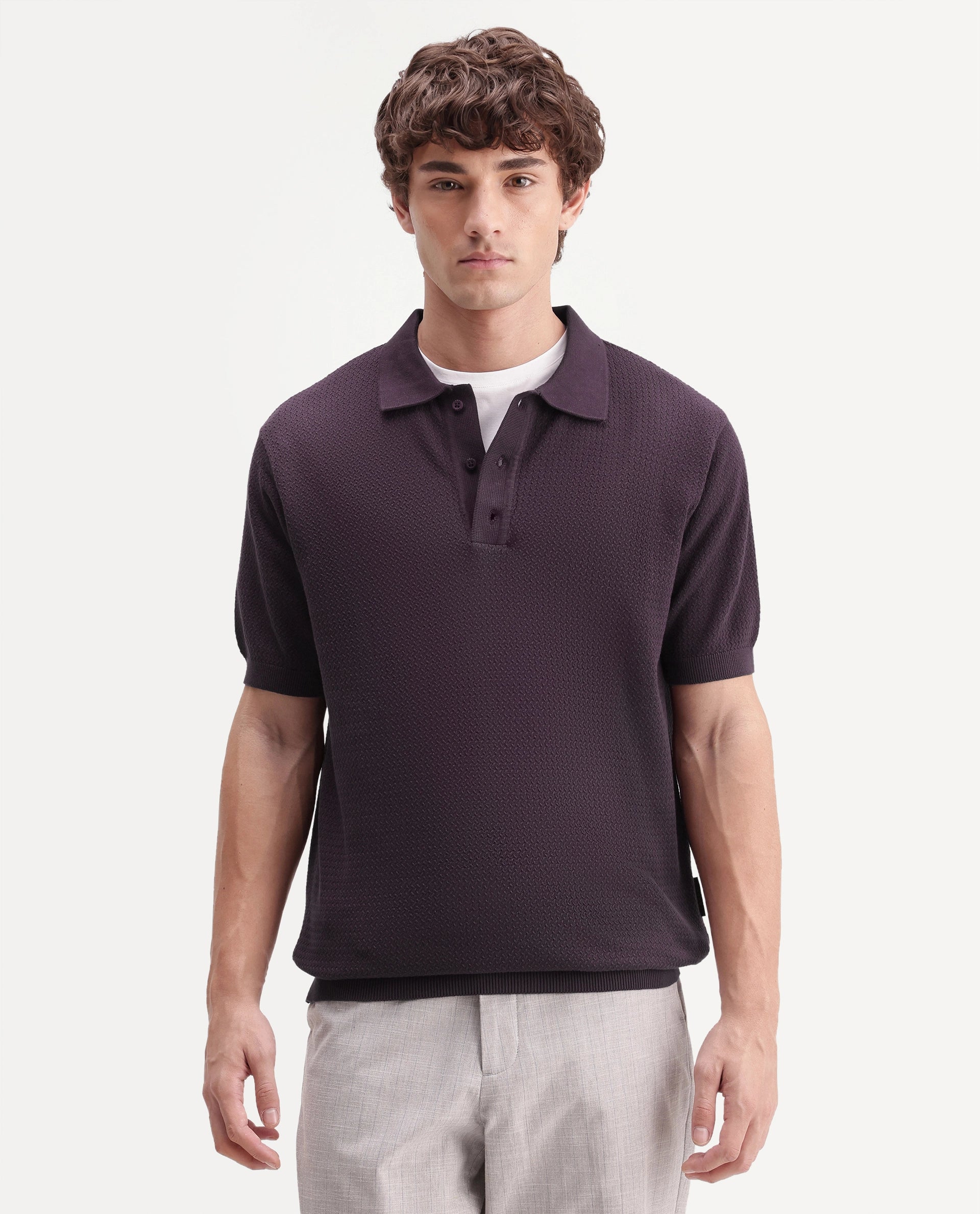Rare Rabbit Men's Tine Dark Purple Cotton Regular Short Sleeves Polo Textured Shirt