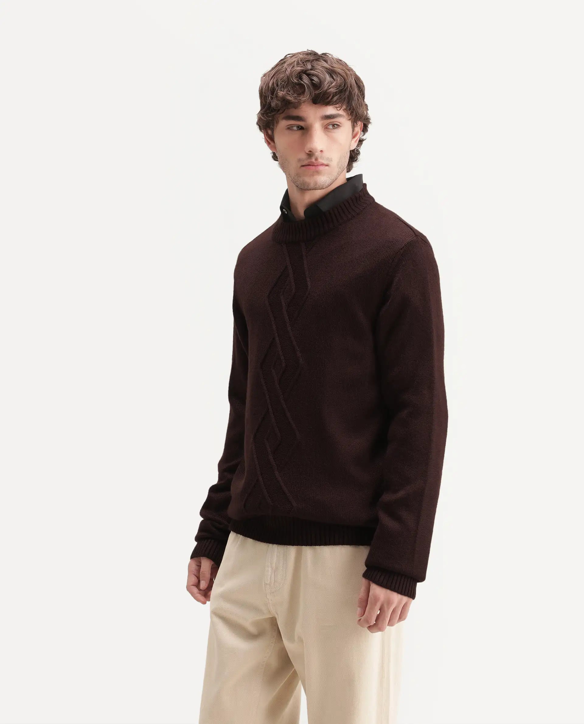 Rare Rabbit Men's Frab Brown Acrylic Crew Neck Regular Fit Jacquard Sweater
