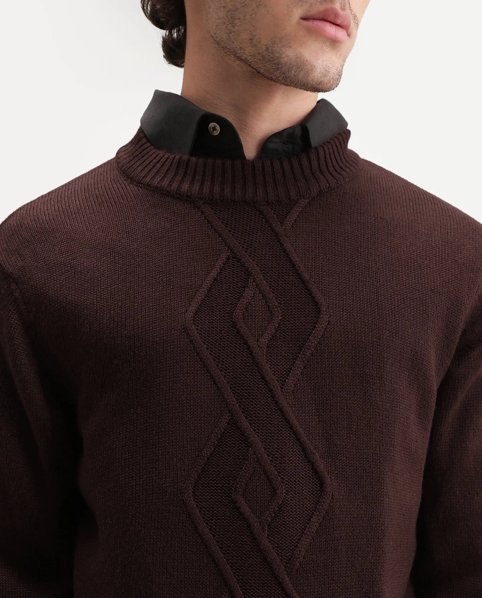 Rare Rabbit Men's Frab Brown Acrylic Crew Neck Regular Fit Jacquard Sweater
