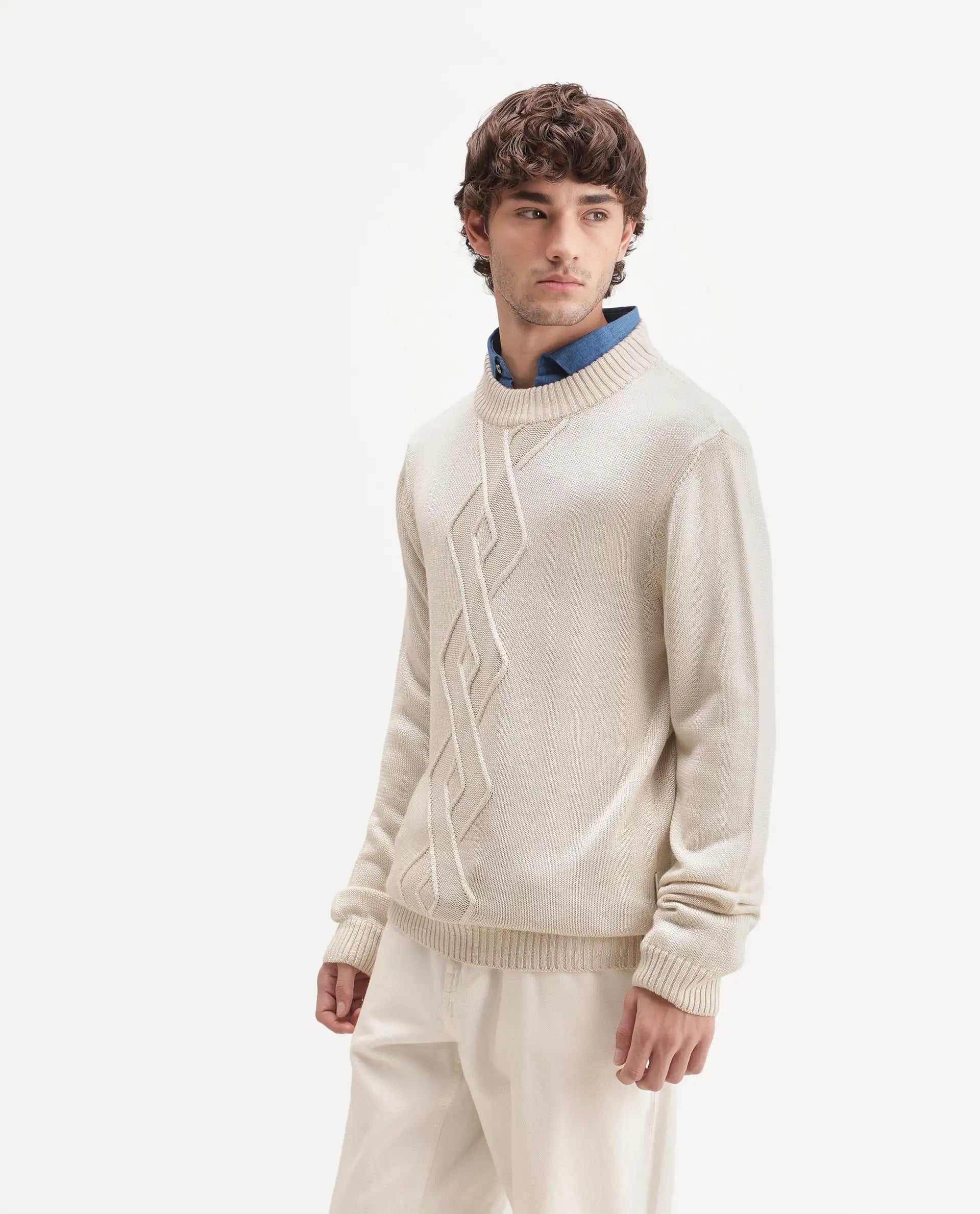 Rare Rabbit Men's Frab Light Beige Acrylic Crew Neck Regular Fit Jacquard Sweater