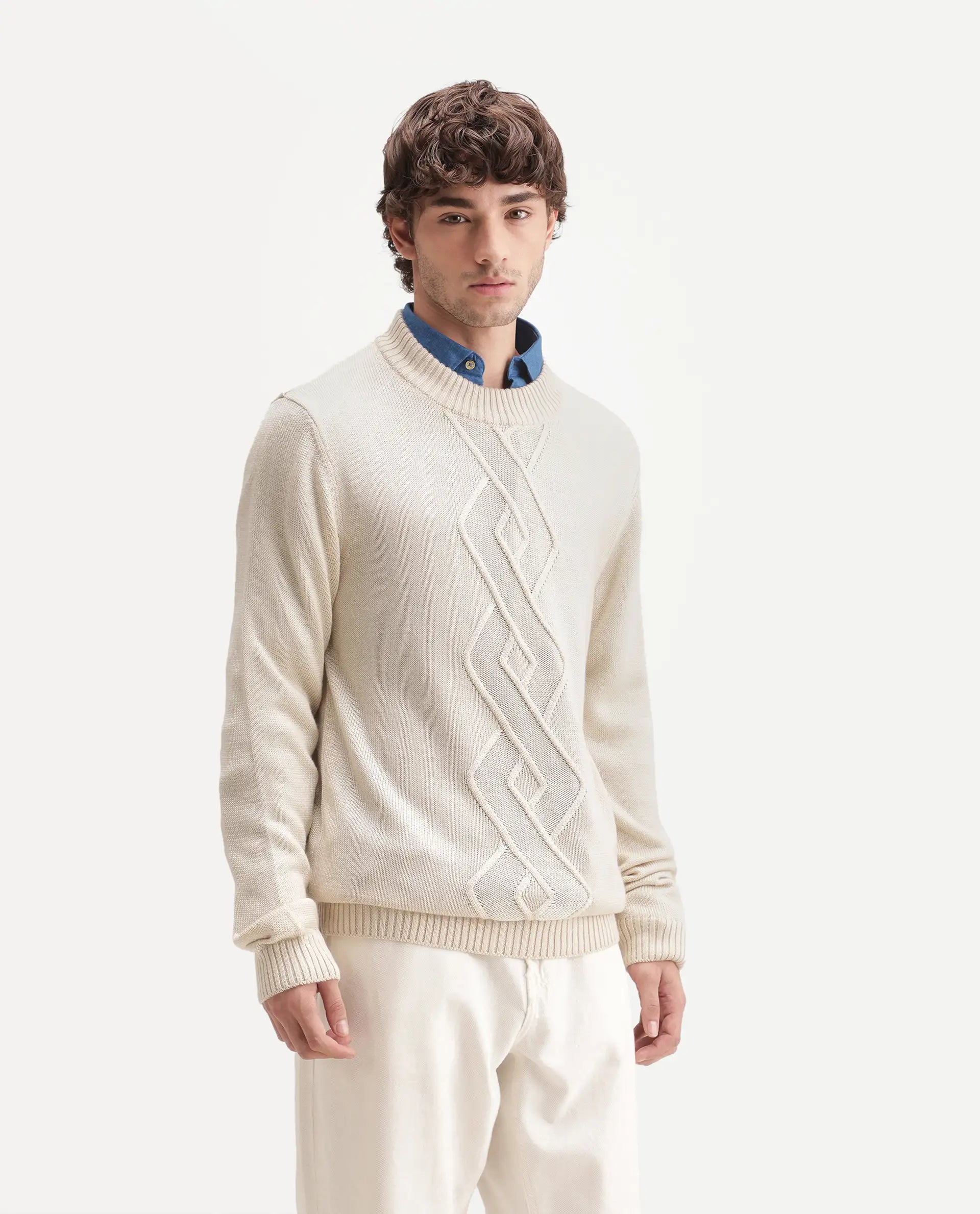 Rare Rabbit Men's Frab Light Beige Acrylic Crew Neck Regular Fit Jacquard Sweater