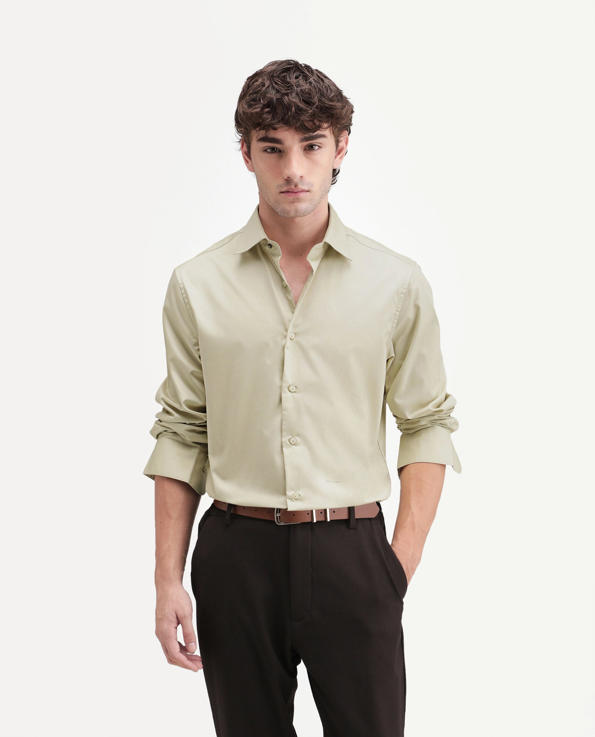Rare Rabbit Men's Aston Dusky Green Polyester Blend Spread Collar Button Regular Plain Shirt