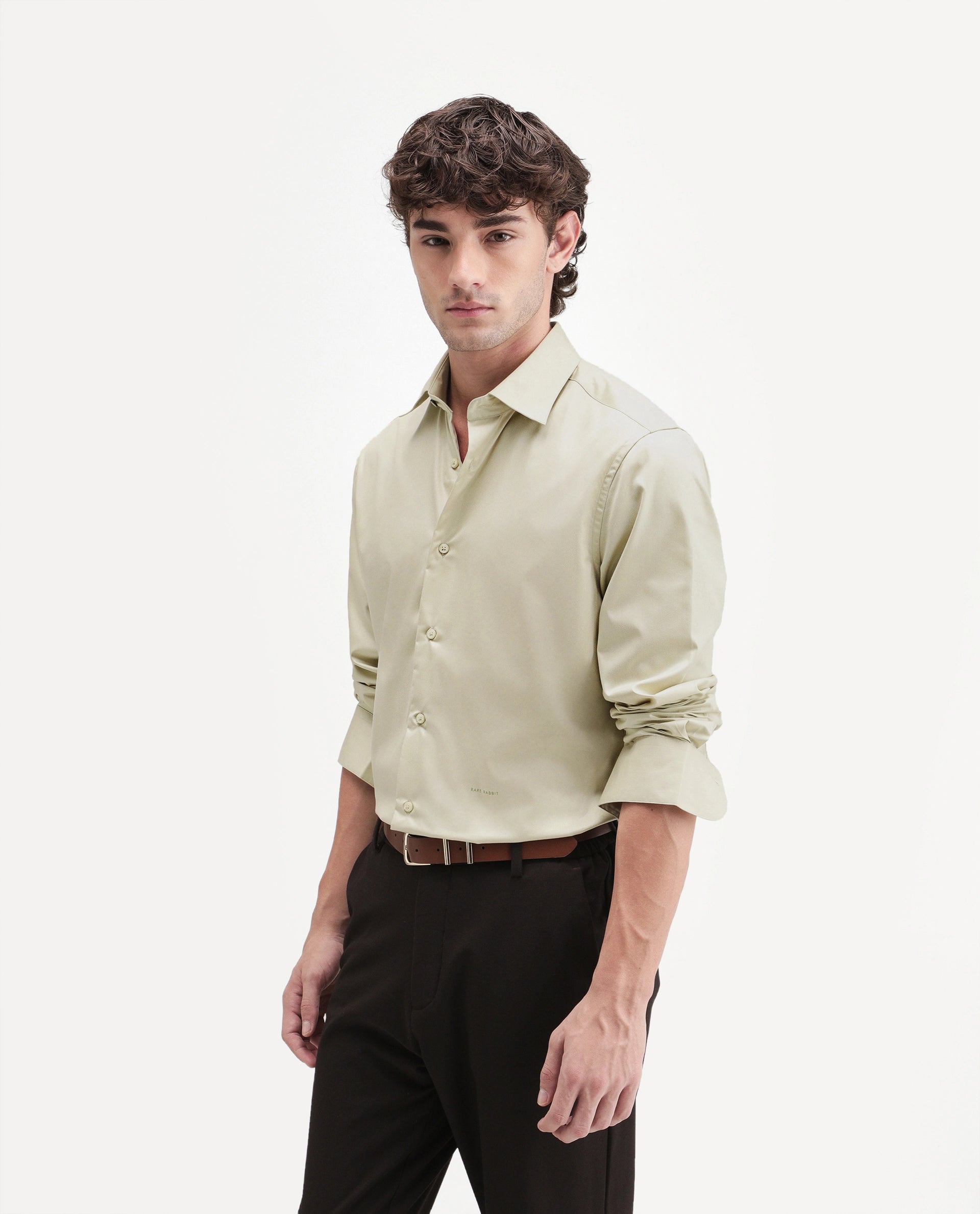 Rare Rabbit Men's Aston Dusky Green Polyester Blend Spread Collar Button Regular Plain Shirt