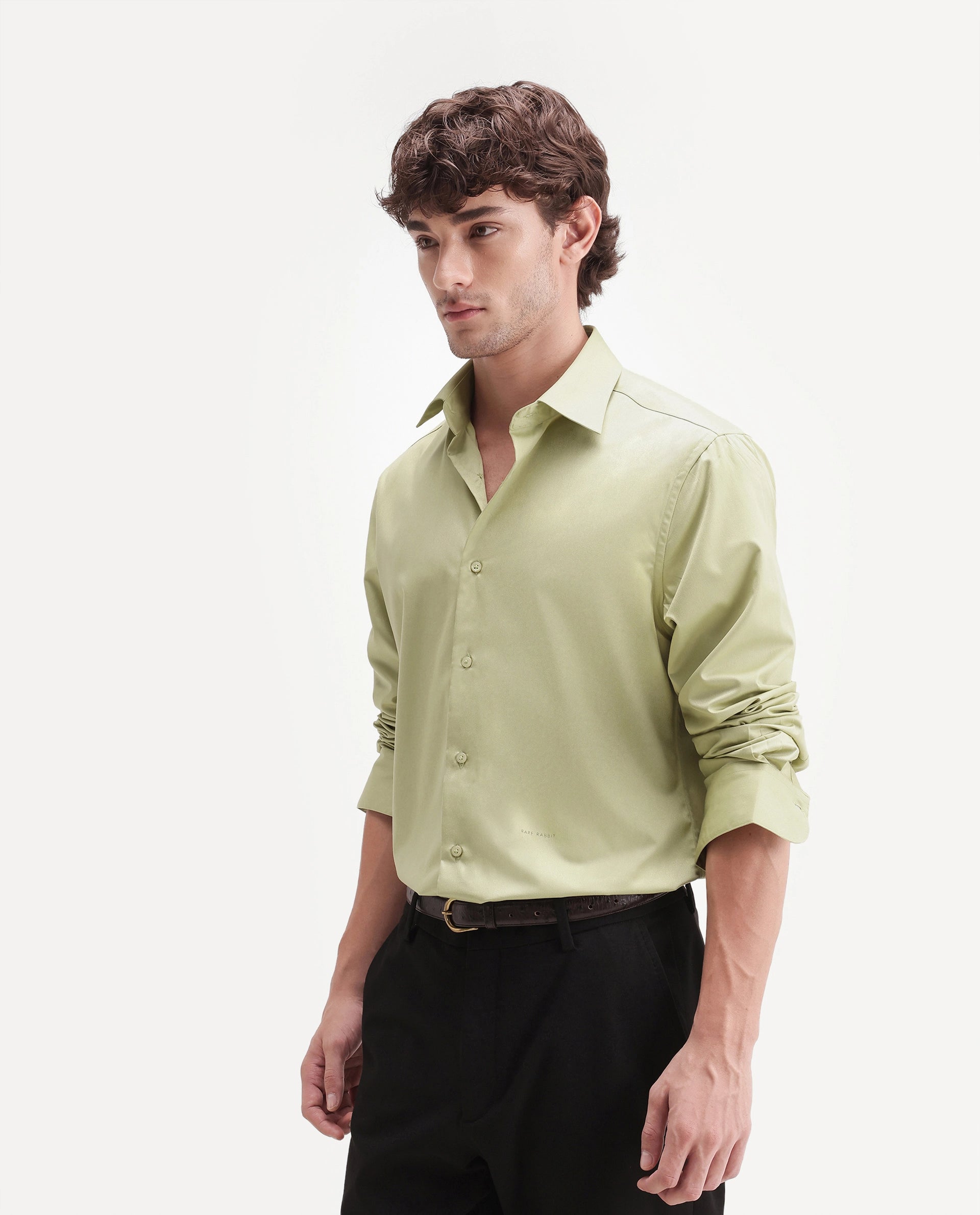 Rare Rabbit Men's Aston Light Green Polyester Blend Spread Collar Button Regular Plain Shirt