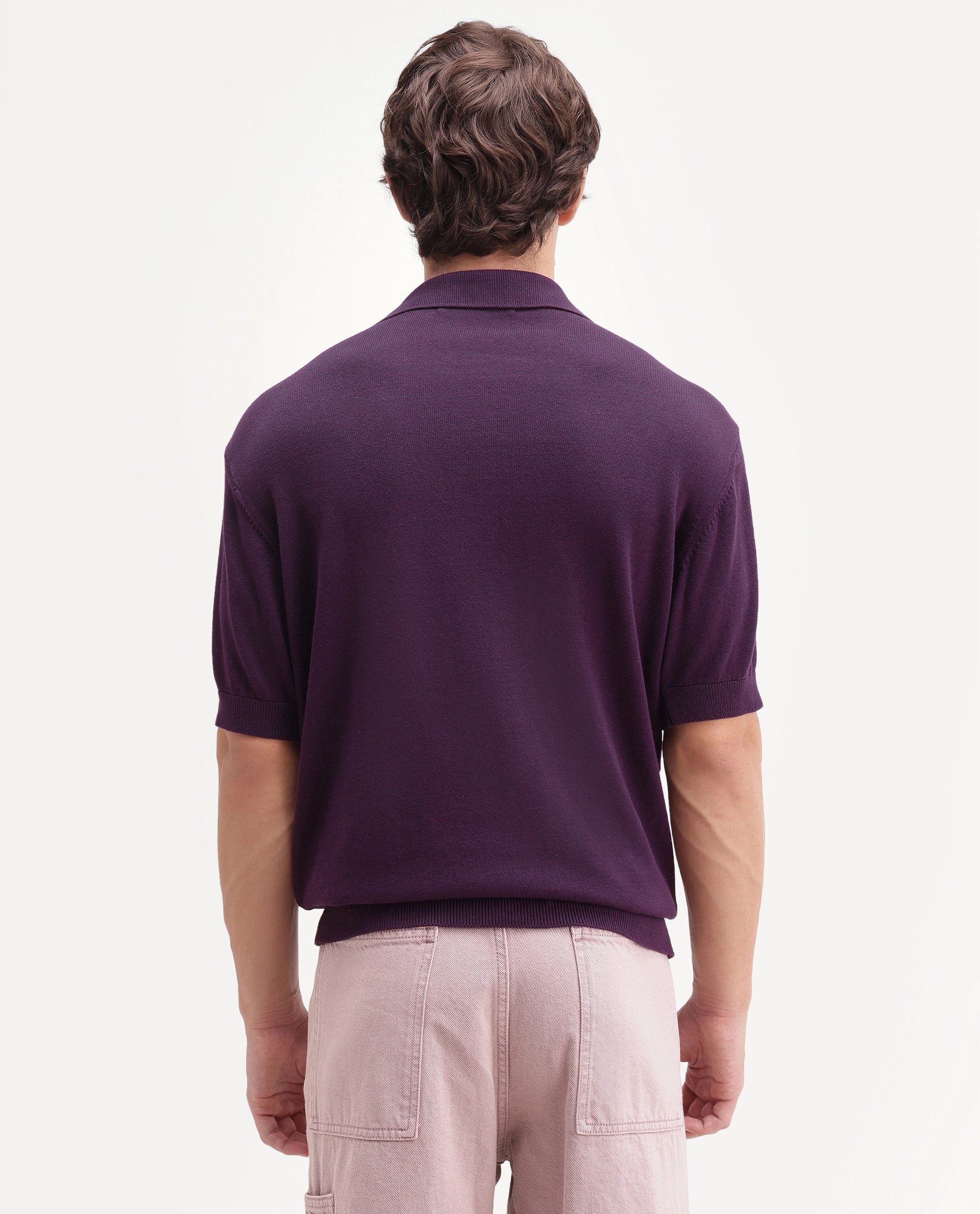 Rare Rabbit Men's Zegot Dark Purple Cotton Johnny Collar Regular Textured Polo