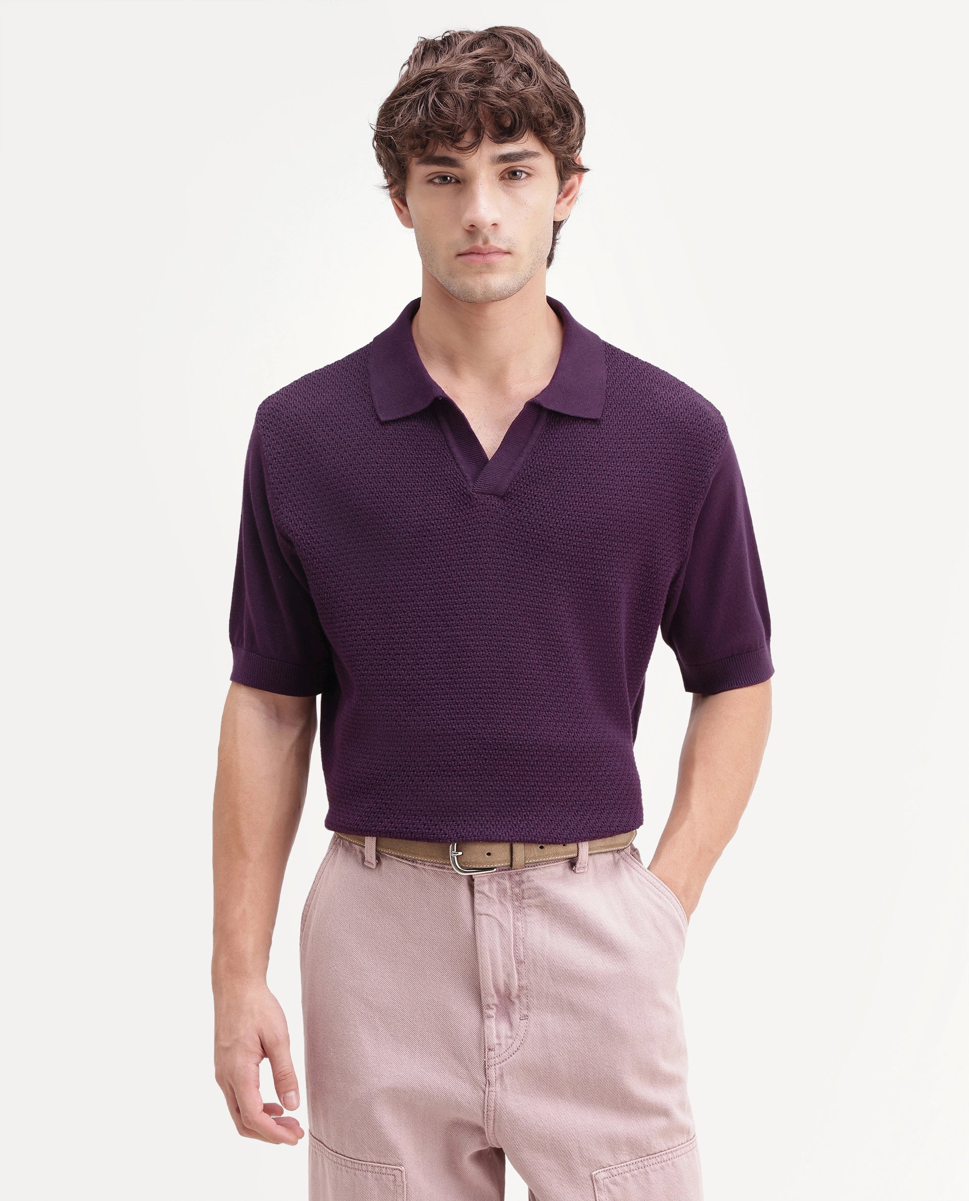 Rare Rabbit Men's Zegot Dark Purple Cotton Johnny Collar Regular Textured Polo