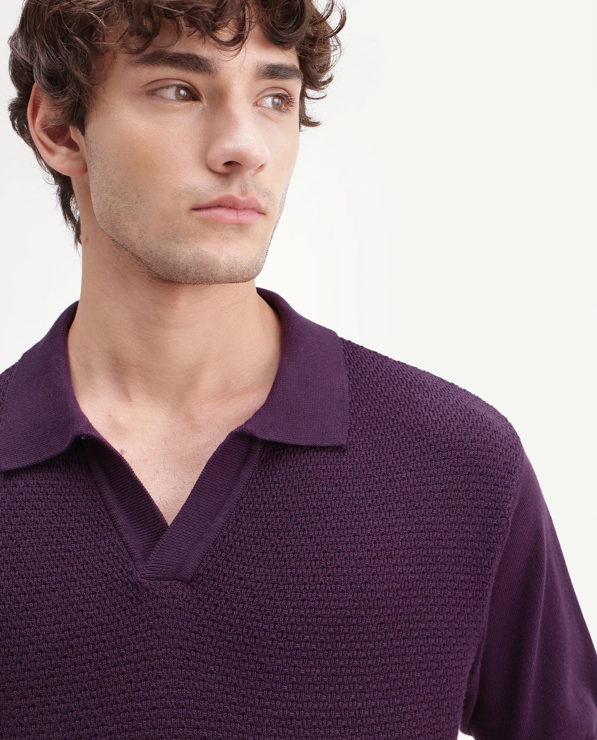 Rare Rabbit Men's Zegot Dark Purple Cotton Johnny Collar Regular Textured Polo