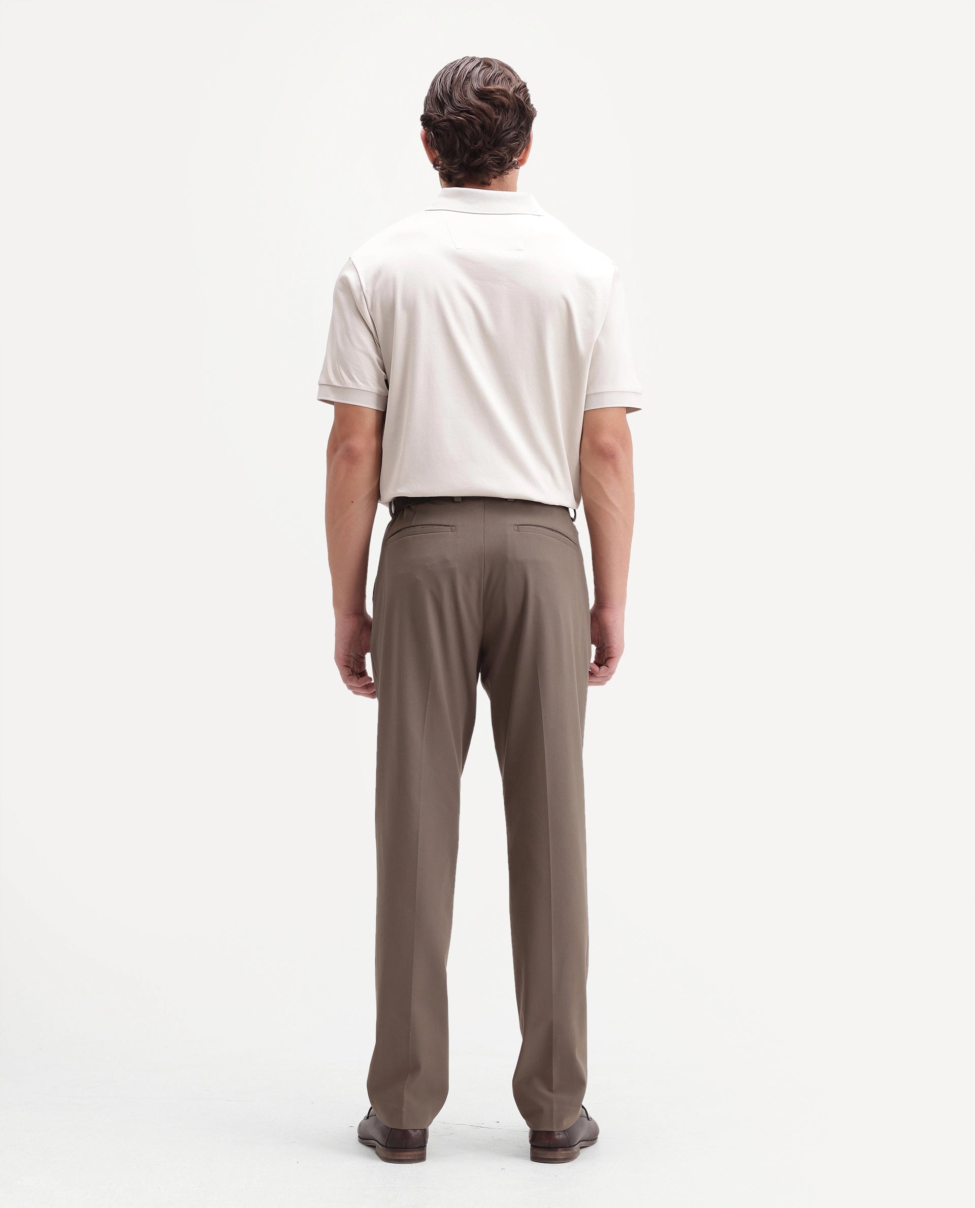 Rare Rabbit Men's Arcade-A26 Beige Polyester Blend Regular Fit Plain Trouser