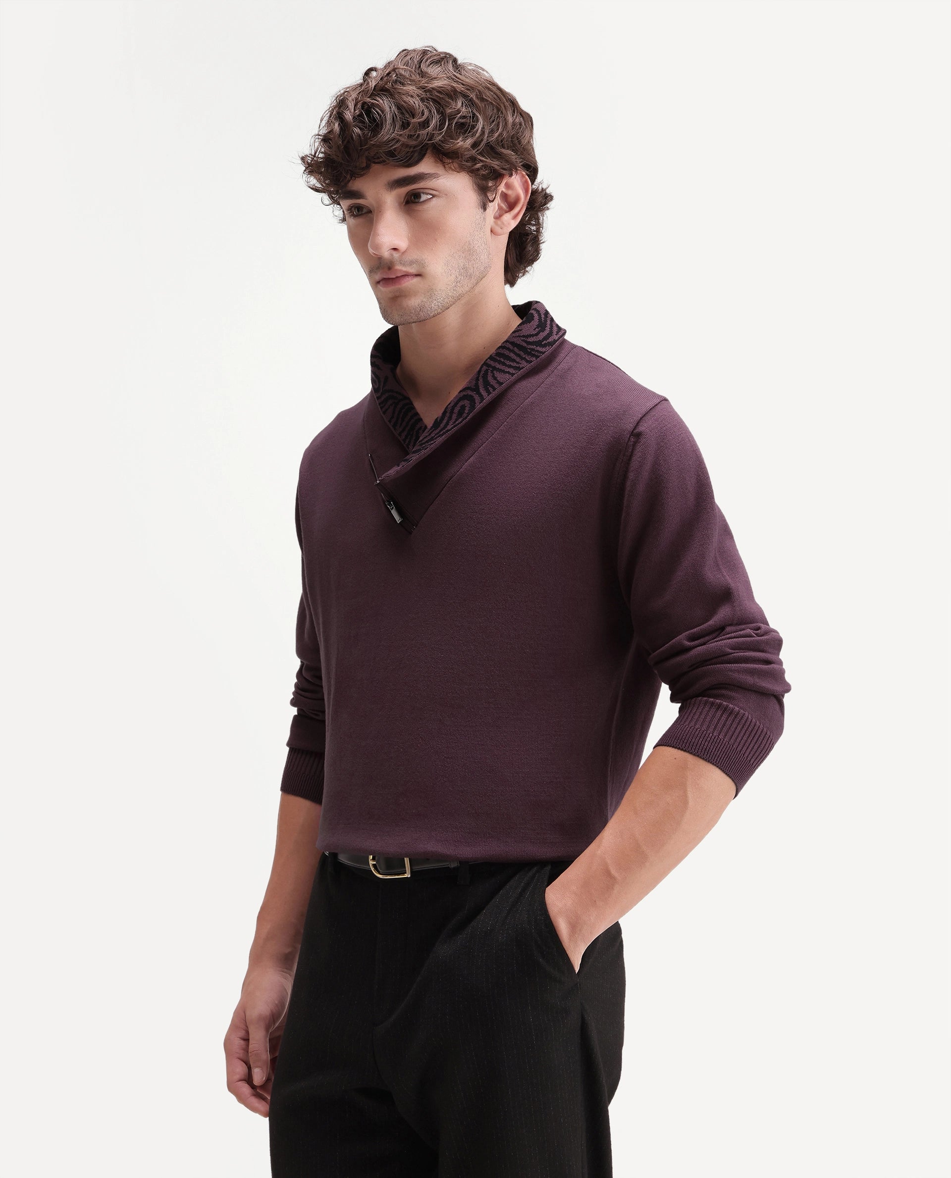 Rare Rabbit Men's Denver-A26 Dusky Purple Cotton Zipper Regular Fit Paisley Print Sweater