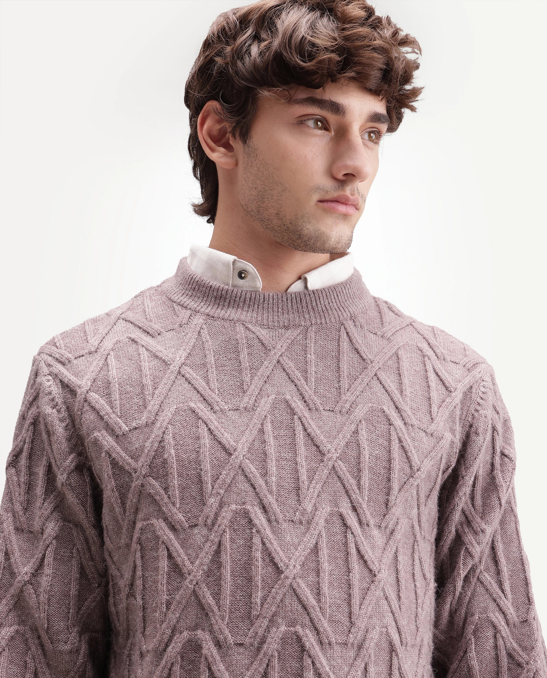Rare Rabbit Men's Zayn Dusky Purple Acrylic Blend Crew Neck Regular Jacquard Print Sweater