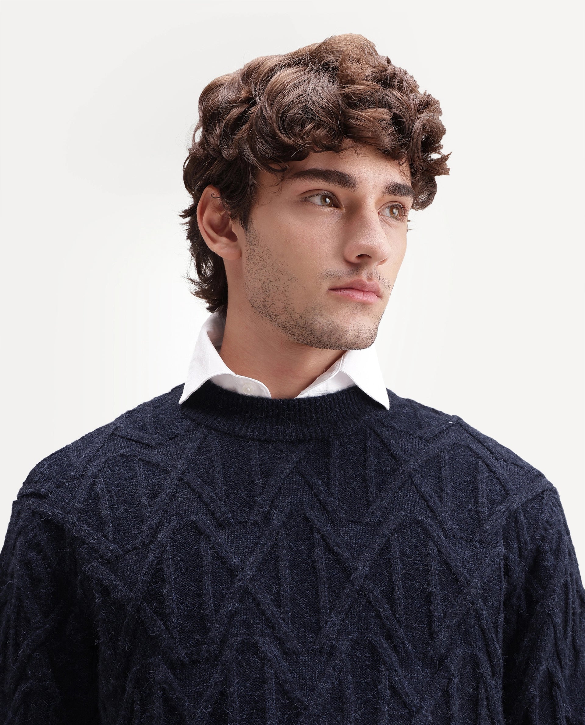 Rare Rabbit Men's Zayn Primary Navy Acrylic Blend Crew Neck Regular Jacquard Sweater