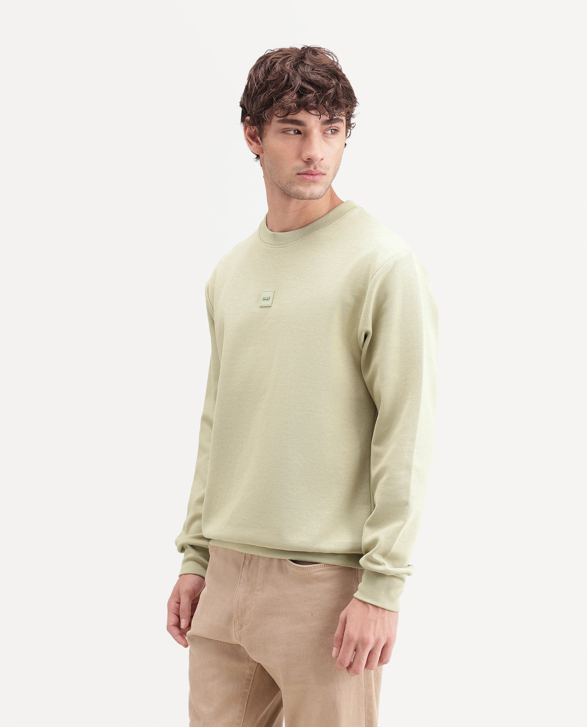 Rare Rabbit Men's Badgez Light Green Cotton Blend Crew Neck Regular Plain Sweatshirt