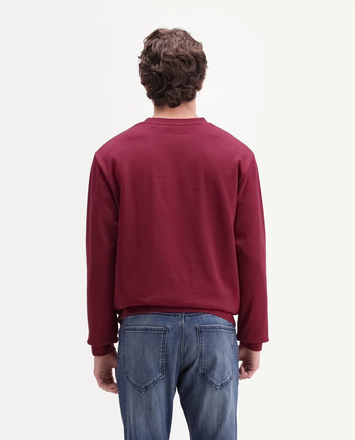 Rare Rabbit Men's Palmi Maroon Cotton Blend Crew Neck Regular Graphic Print Sweatshirt