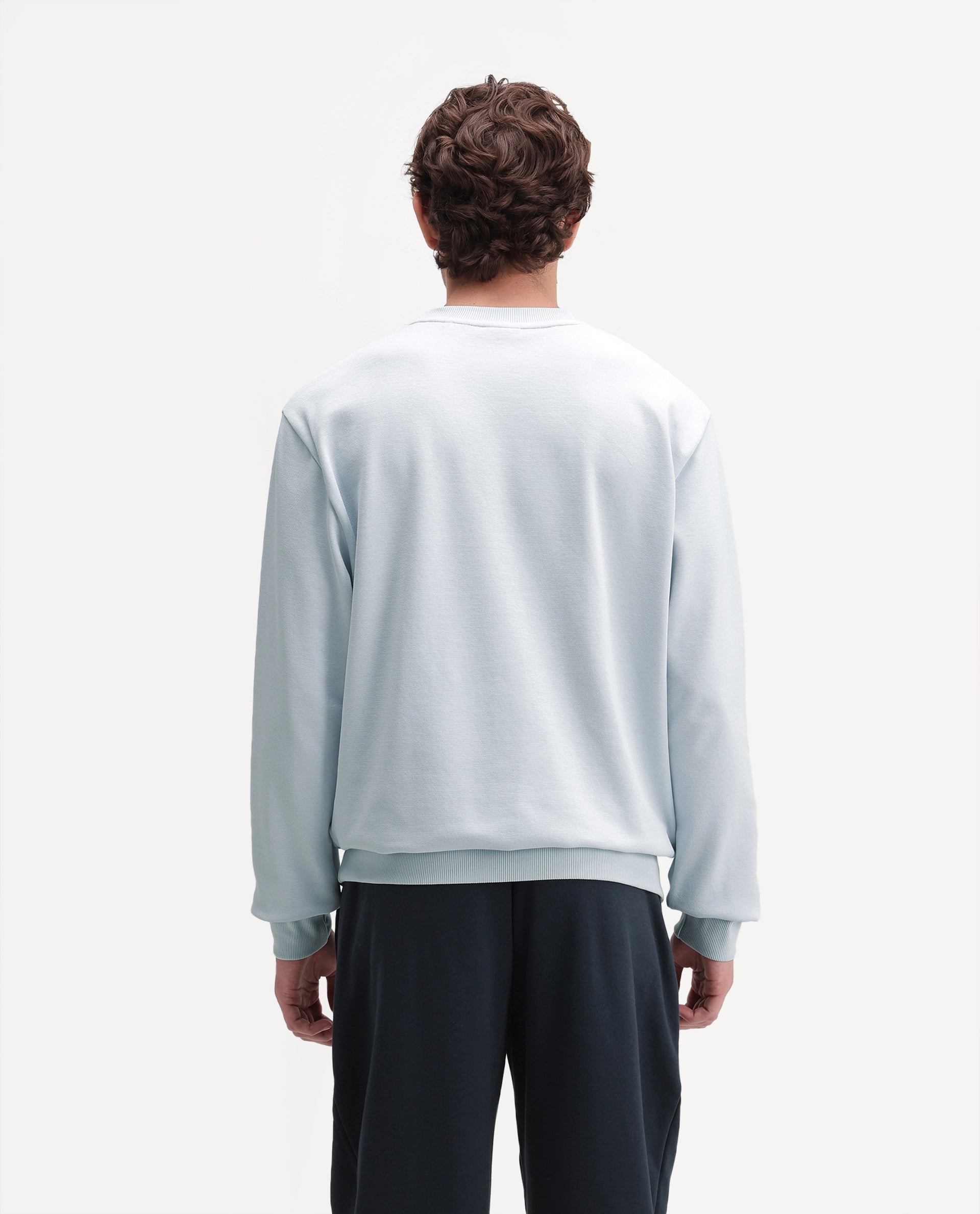 Rare Rabbit Men's Raeko Light Blue Cotton Blend Crew Neck Regular Plain Sweatshirt