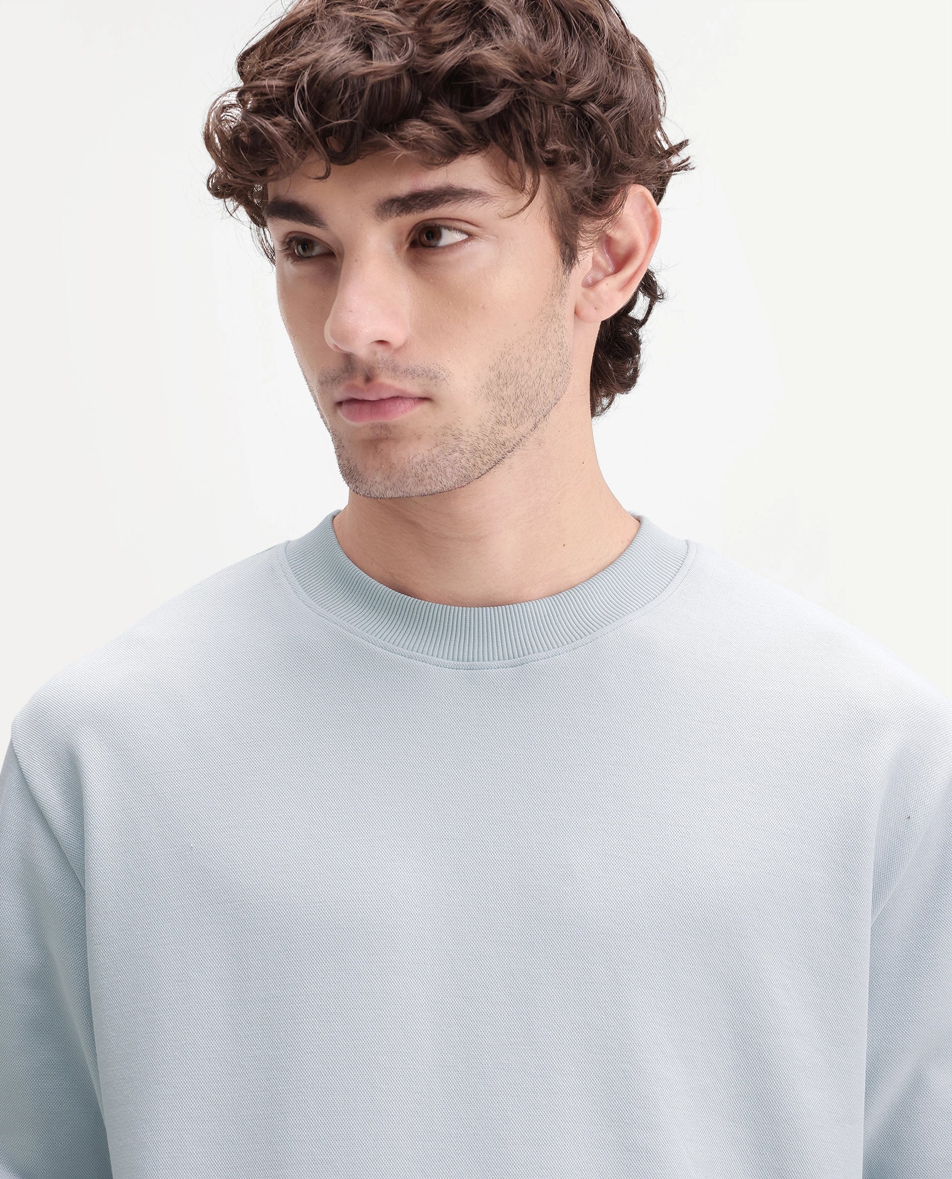 Rare Rabbit Men's Raeko Light Blue Cotton Blend Crew Neck Regular Plain Sweatshirt