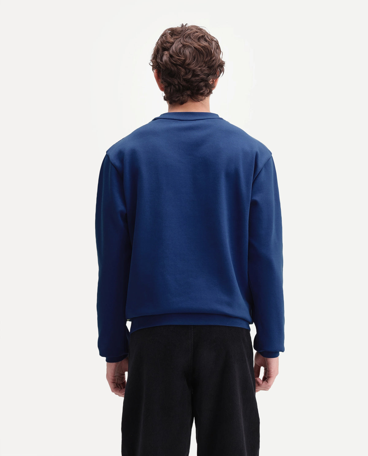 Rare Rabbit Men's Kiha Fluorescent Blue Cotton Blend Crew Neck Regular Label Sweatshirt