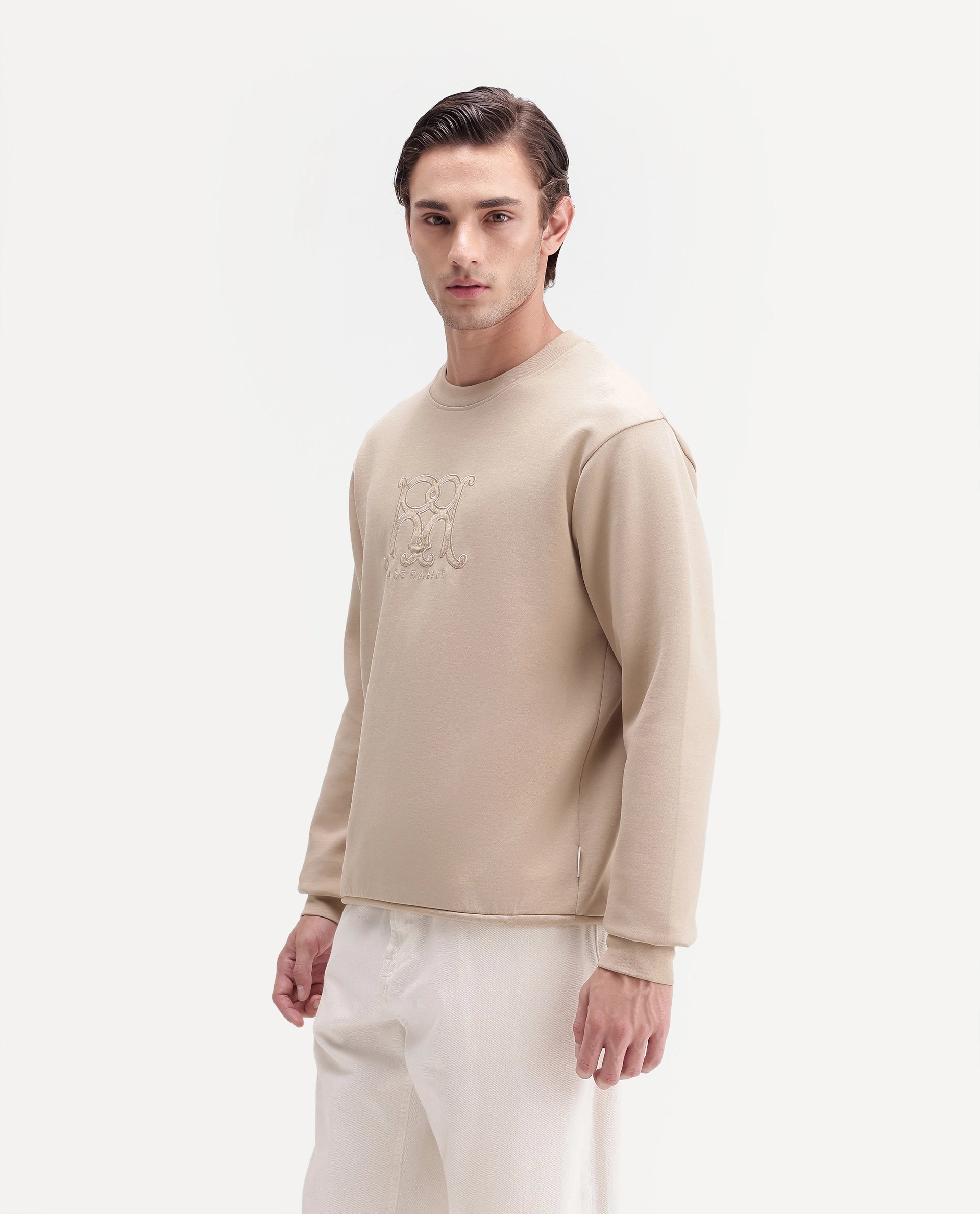 Rare Rabbit Men's Leko Light Beige Cotton Blend Crew Neck Regular Embroidered Sweatshirt