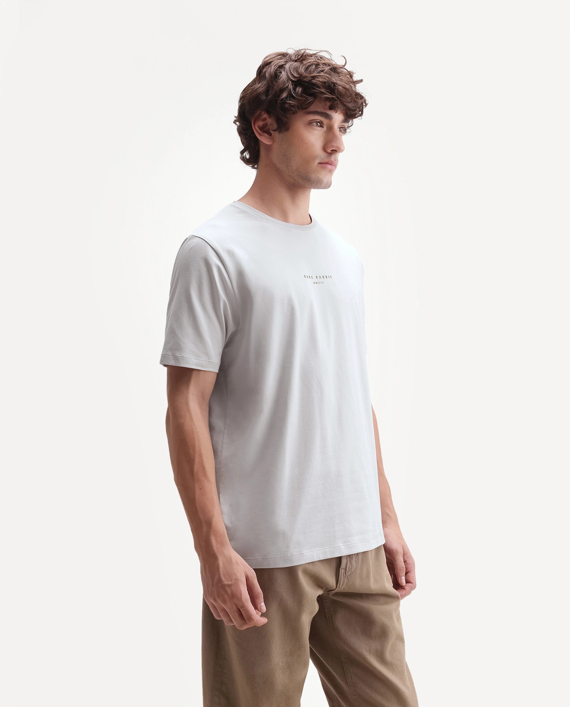 Rare Rabbit Men's Rabbit-A26 Light Grey Cotton Blend Crew Neck Regular Hd Print T-Shirt