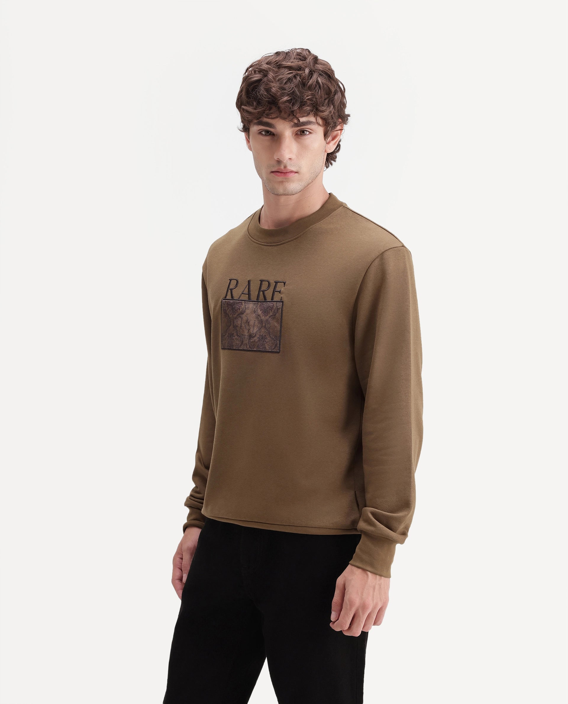 Rare Rabbit Men's Debz Dark Brown Cotton Blend Crew Neck Regular Embroidered Sweatshirt