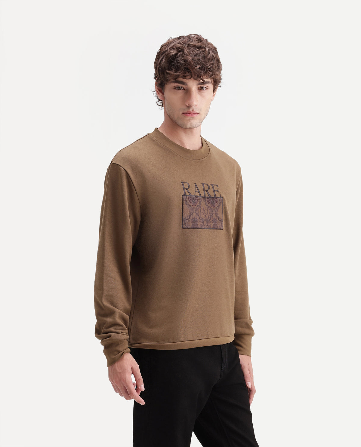 Rare Rabbit Men's Debz Dark Brown Cotton Blend Crew Neck Regular Embroidered Sweatshirt