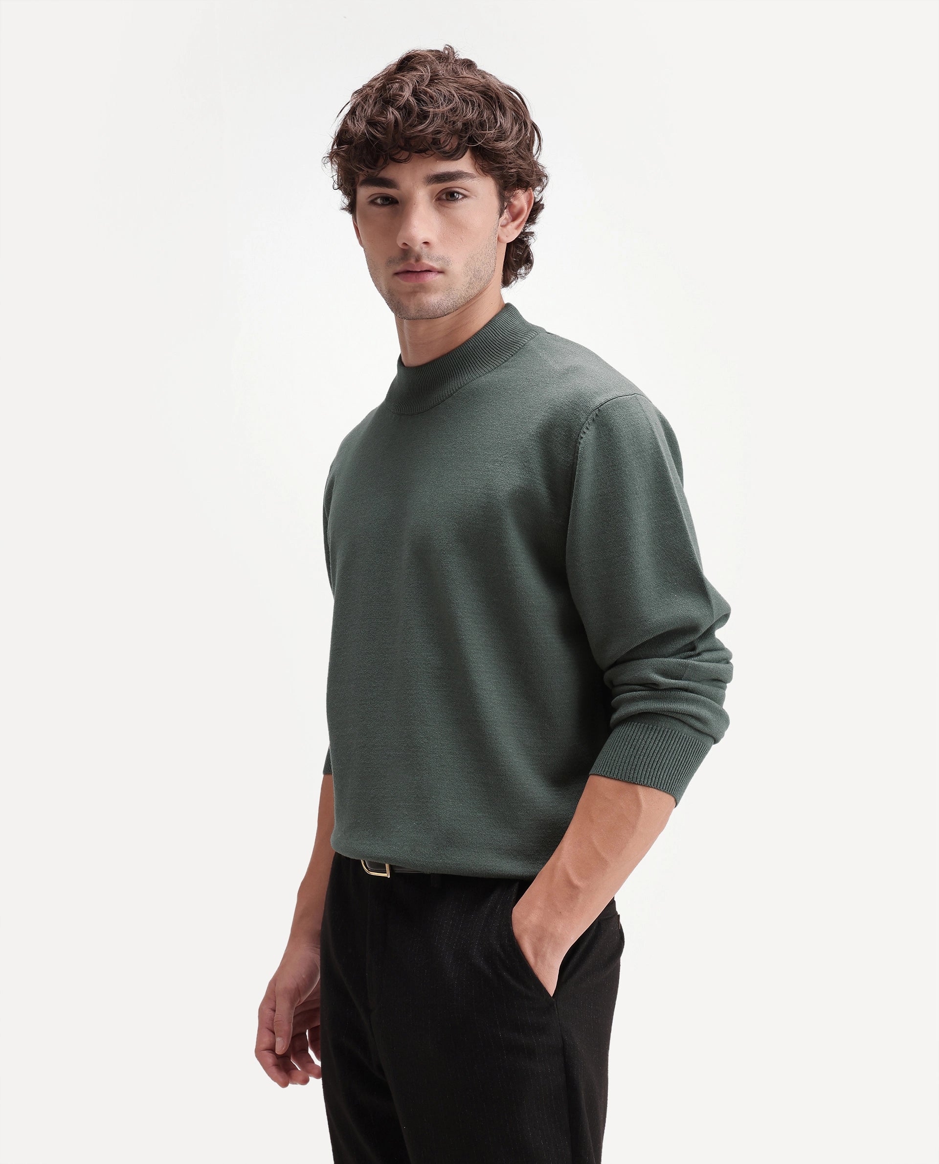 Rare Rabbit Men's Alvor Dusky Green Viscose Blend Regular Fit Plain Sweater