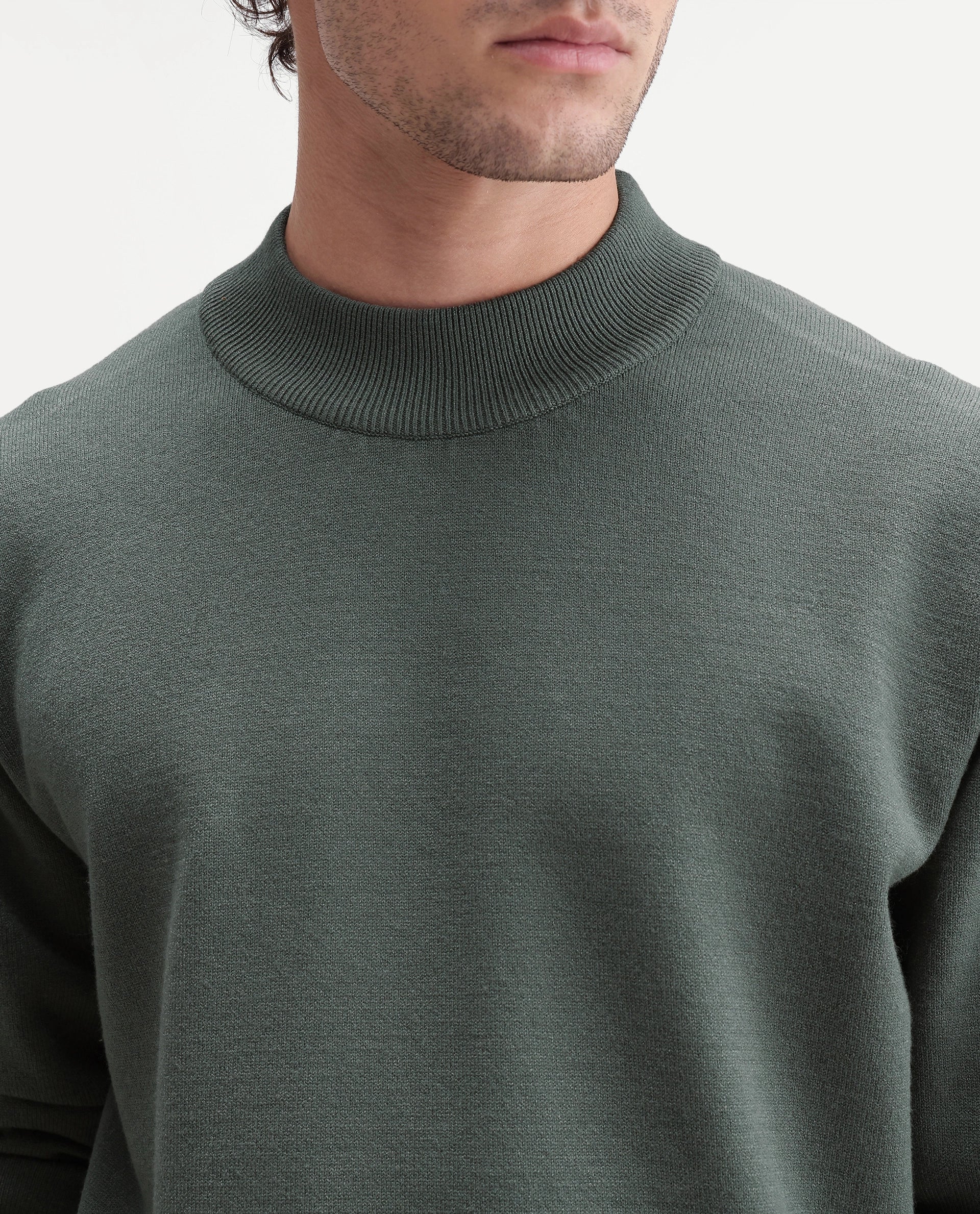 Rare Rabbit Men's Alvor Dusky Green Viscose Blend Regular Fit Plain Sweater
