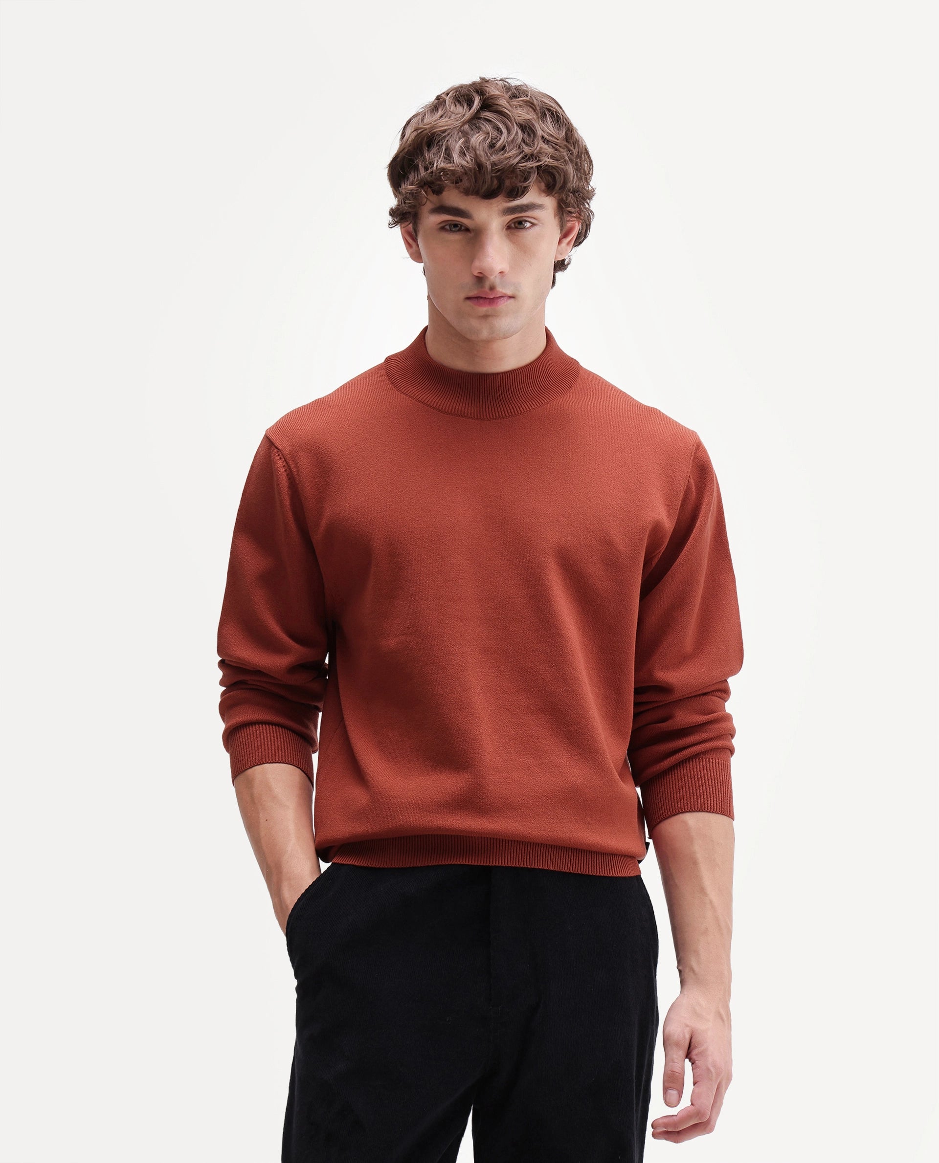 Rare Rabbit Men's Alvor Rust Viscose Blend Regular Fit Plain Sweater