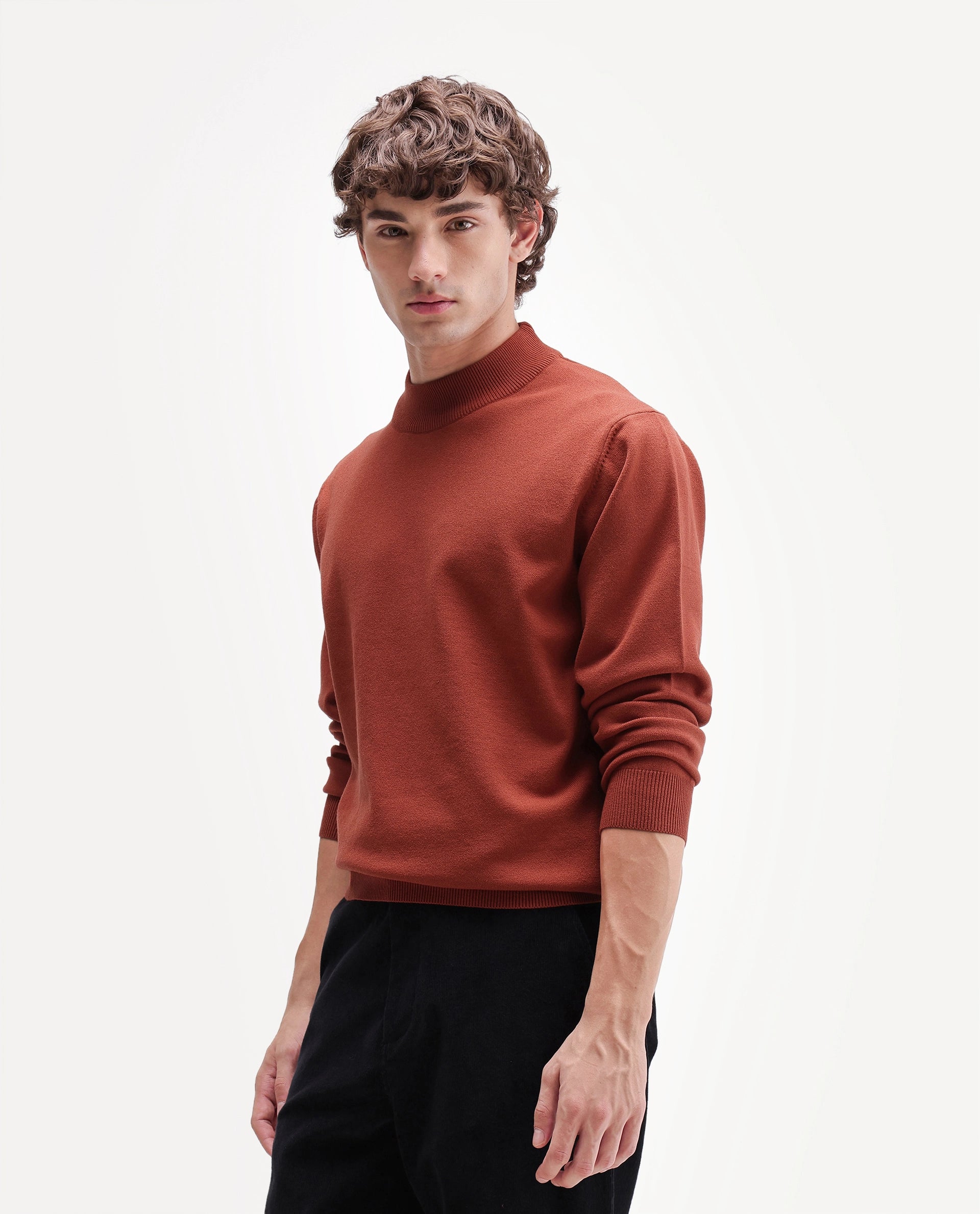 Rare Rabbit Men's Alvor Rust Viscose Blend Regular Fit Plain Sweater