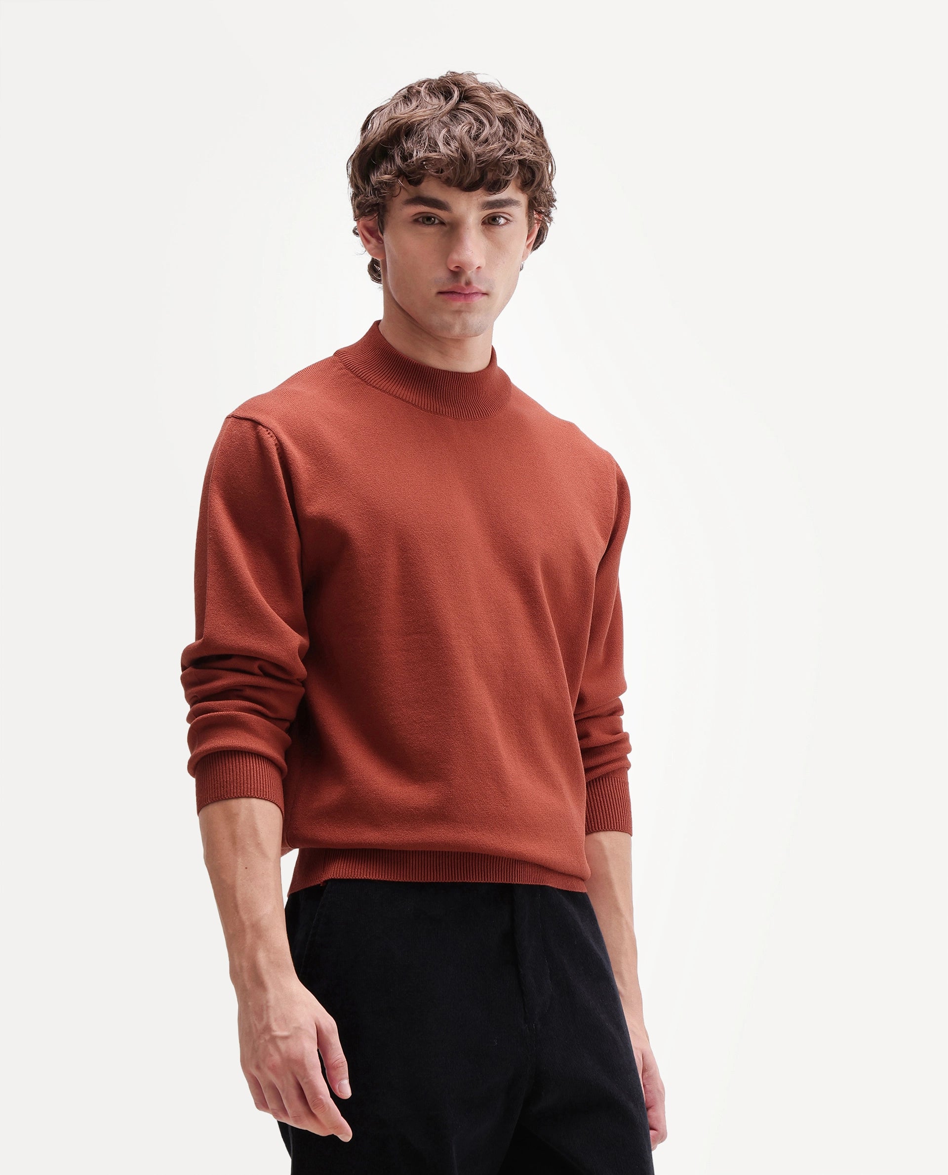 Rare Rabbit Men's Alvor Rust Viscose Blend Regular Fit Plain Sweater