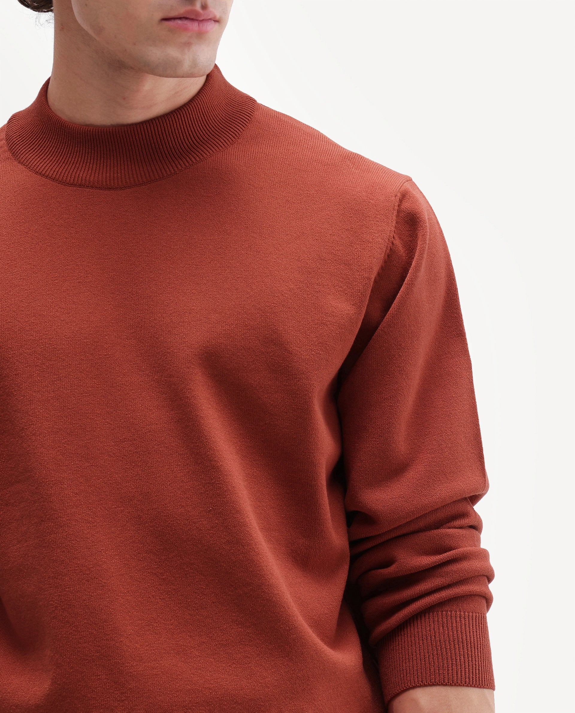 Rare Rabbit Men's Alvor Rust Viscose Blend Regular Fit Plain Sweater