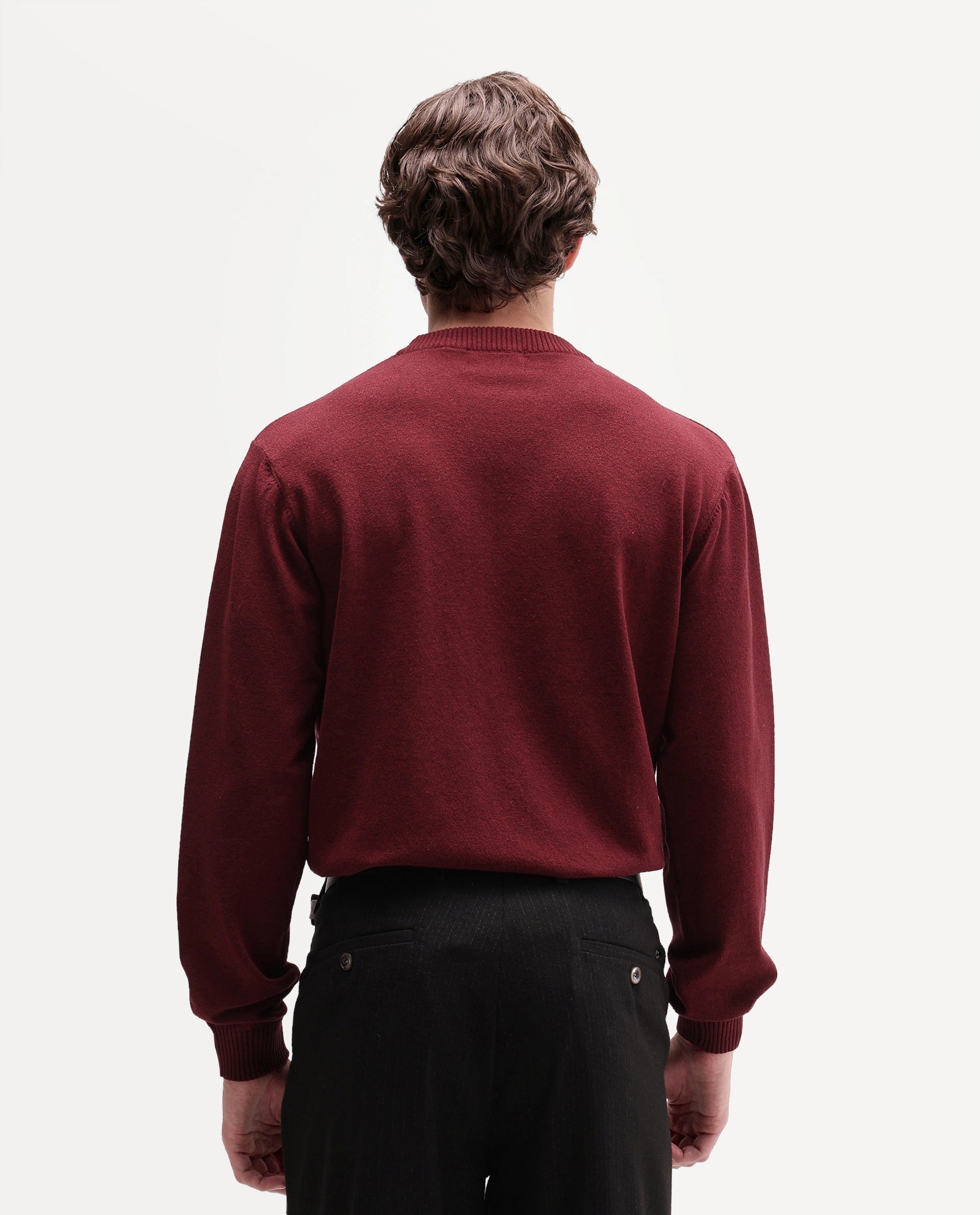 Rare Rabbit Men's Gron-A26 Red Viscose Blend Regular Fit Viscose Blend Jacquard Sweater