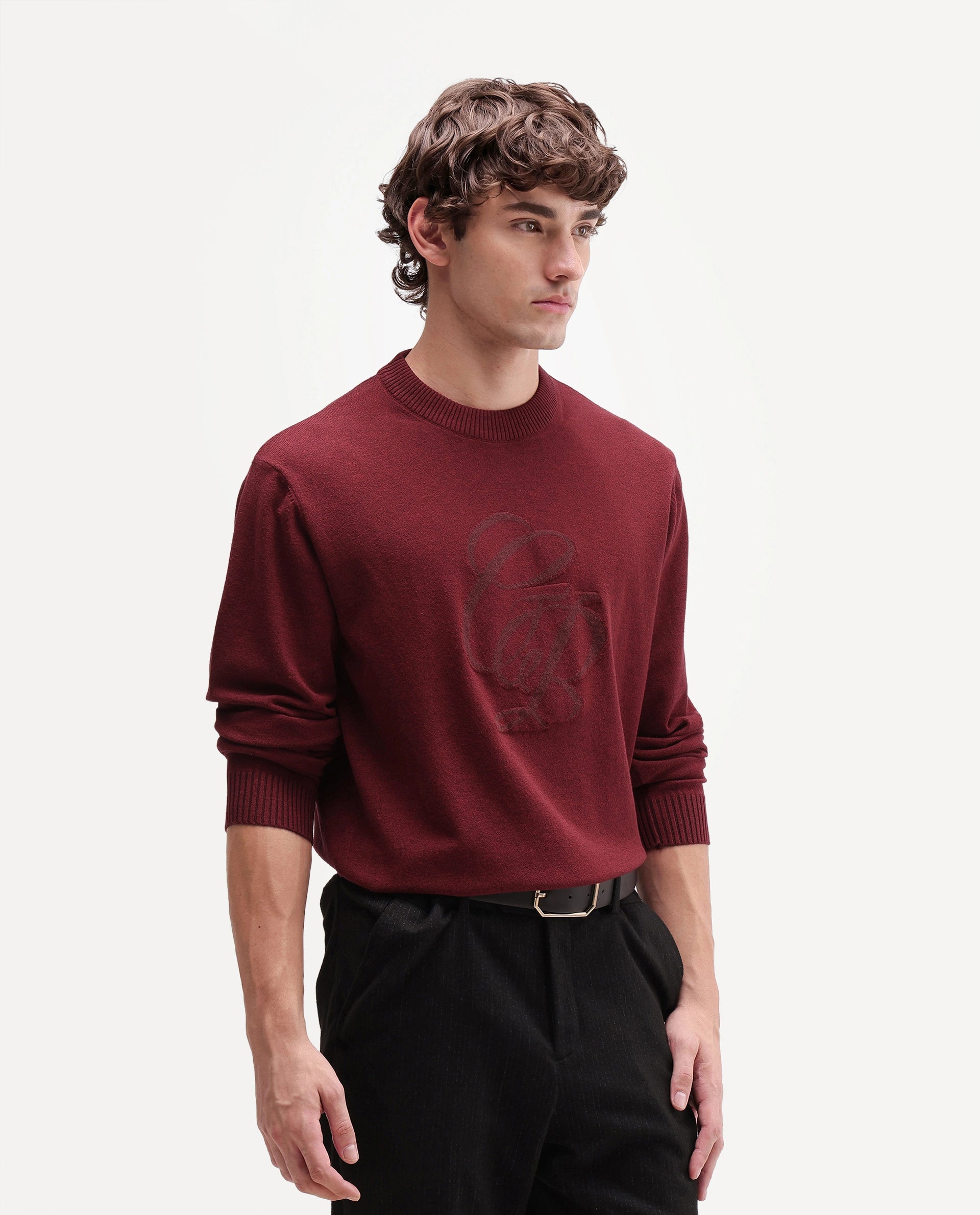 Rare Rabbit Men's Gron-A26 Red Viscose Blend Regular Fit Viscose Blend Jacquard Sweater