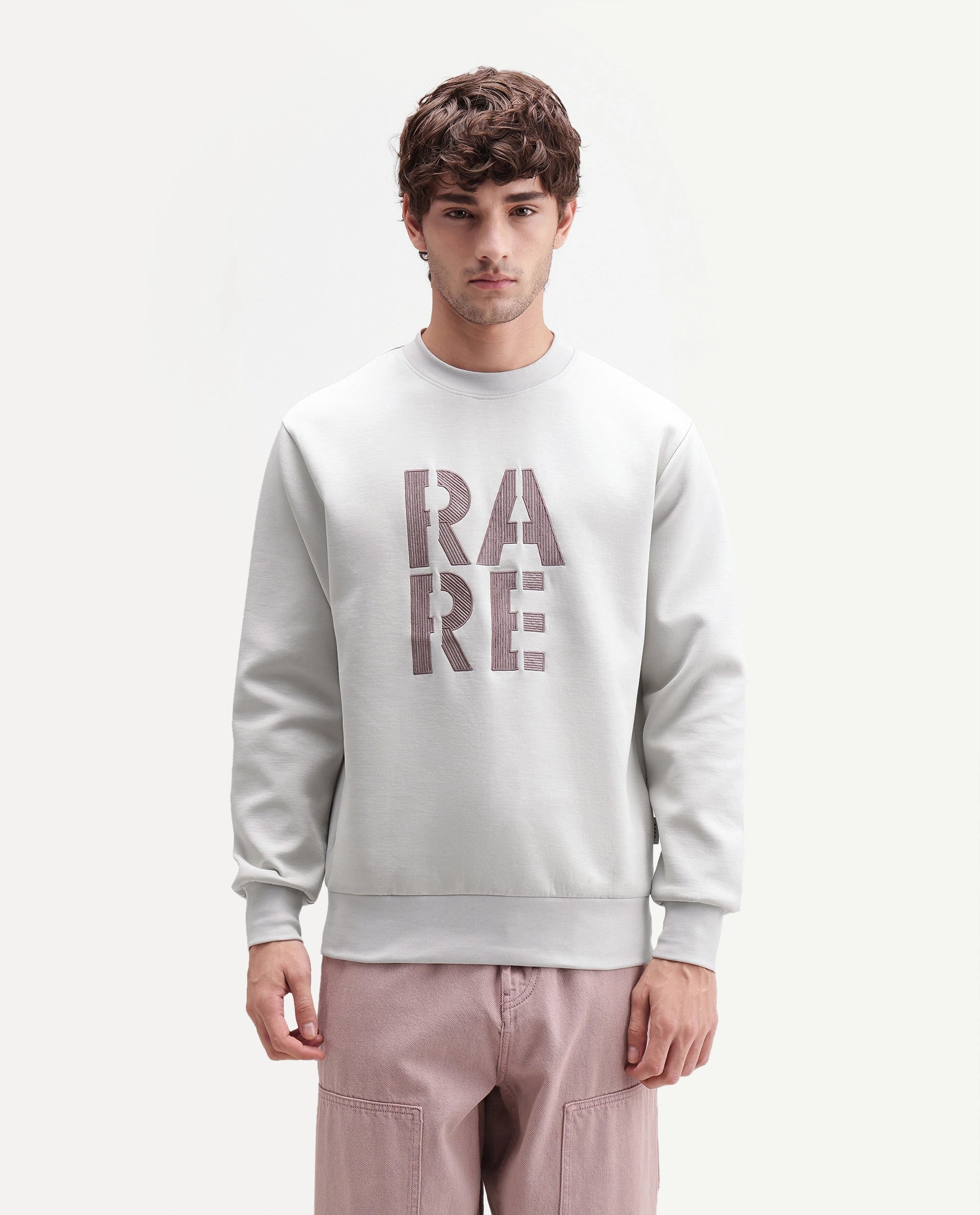Rare Rabbit Men's Bazo Dusky Grey Cotton Blend Crew Neck Regular Embroidered Sweatshirt