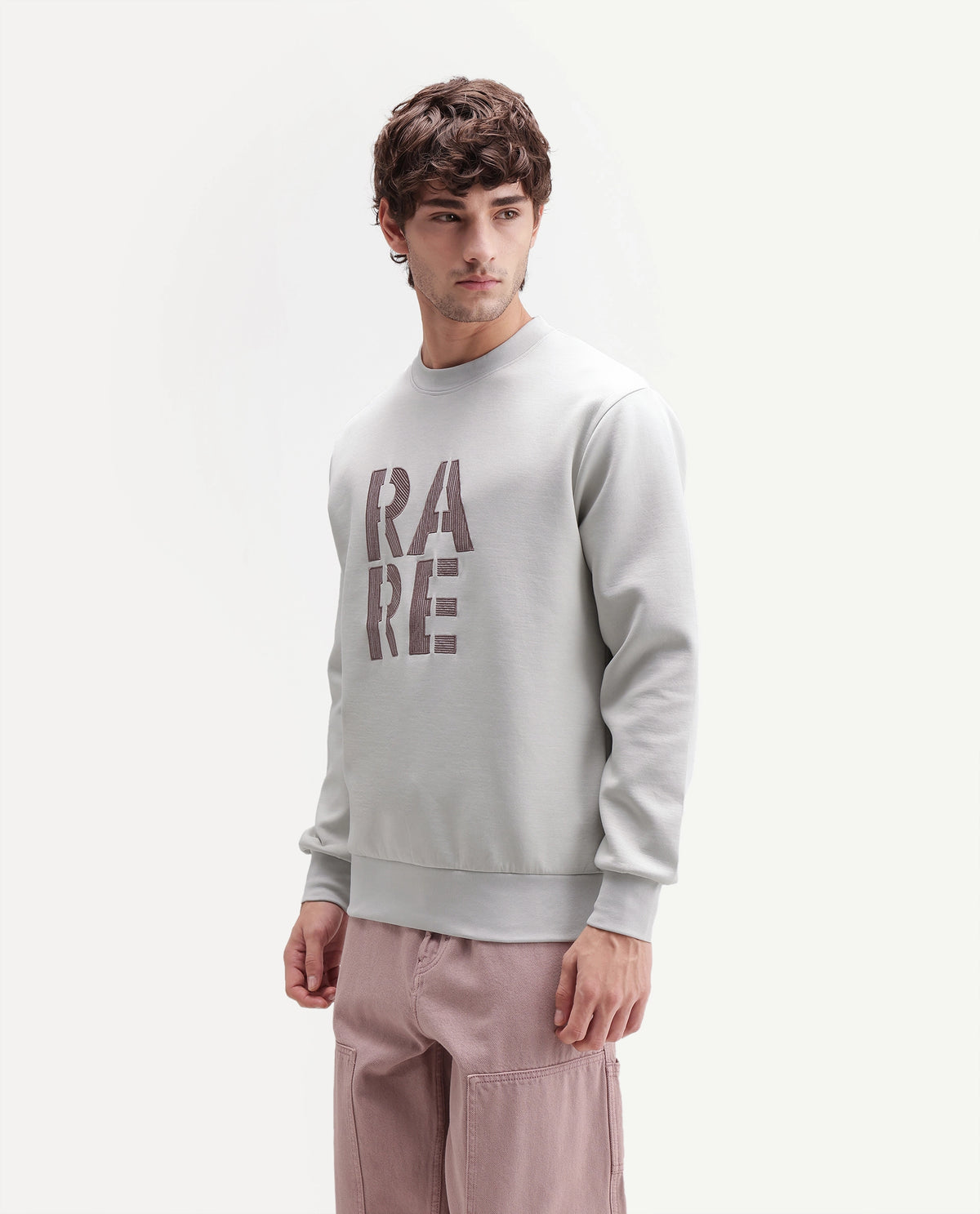 Rare Rabbit Men's Bazo Dusky Grey Cotton Blend Crew Neck Regular Embroidered Sweatshirt