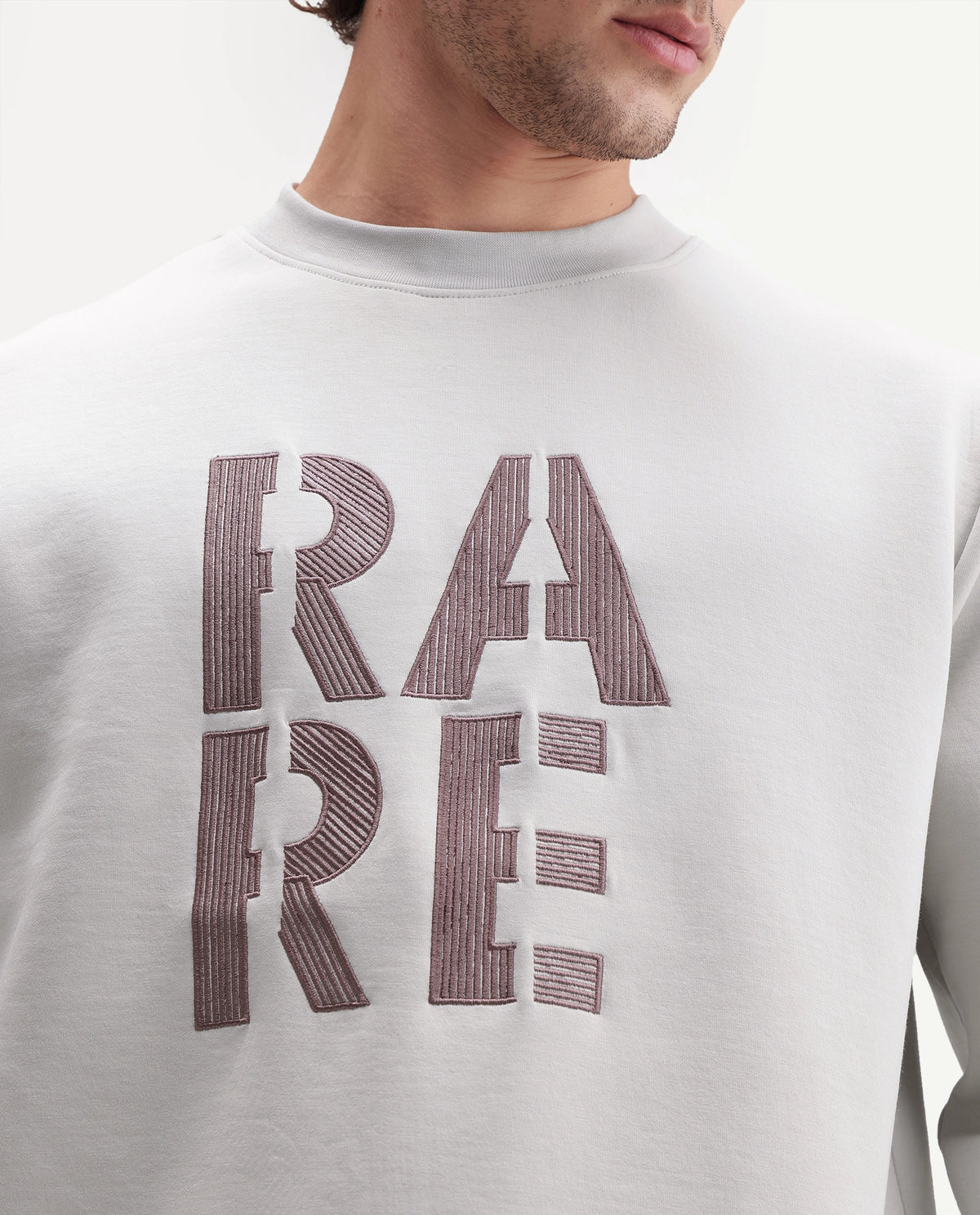 Rare Rabbit Men's Bazo Dusky Grey Cotton Blend Crew Neck Regular Embroidered Sweatshirt