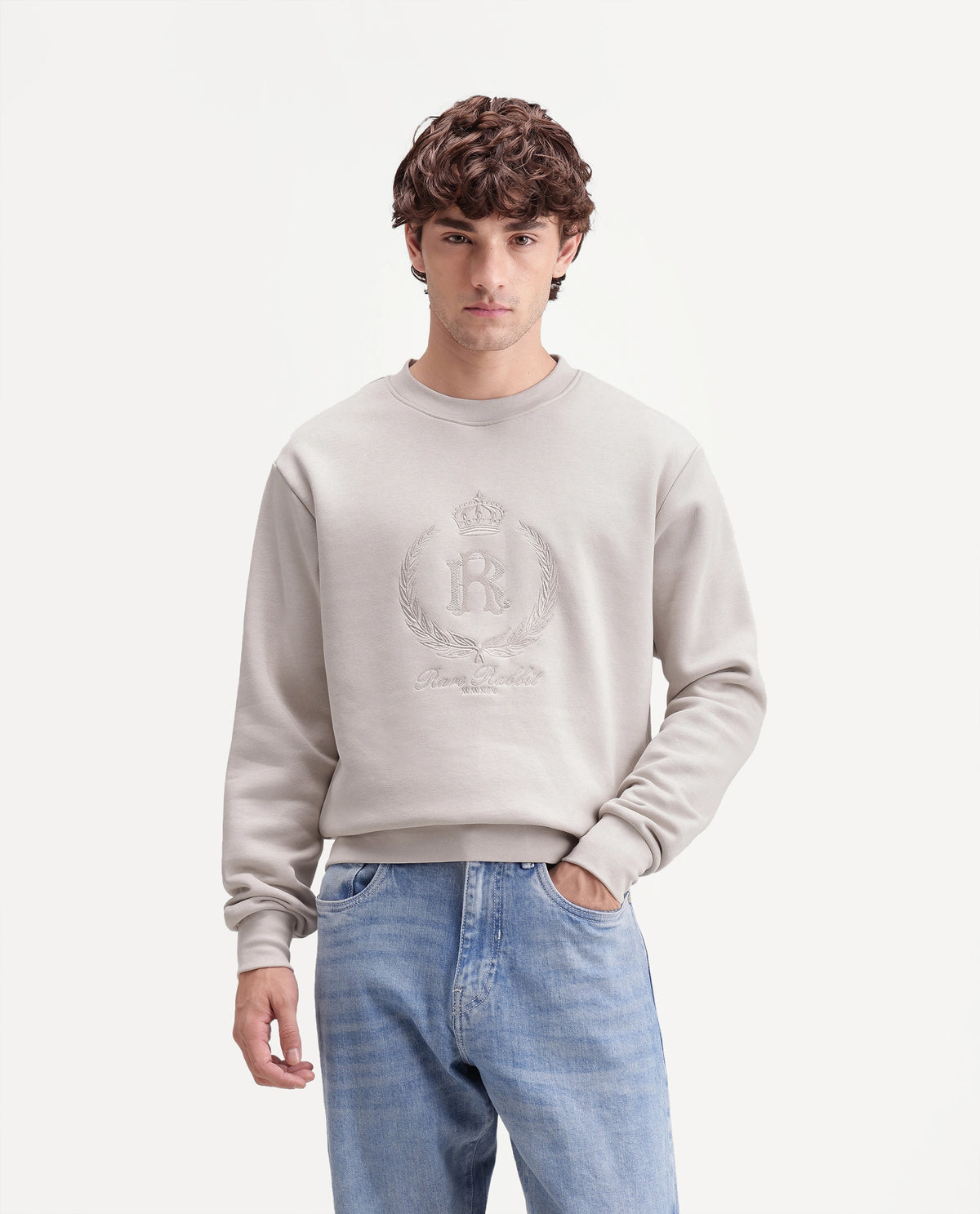 Rare Rabbit Men's Break Primary Beige Cotton Blend Crew Neck Regular Embroidered Sweatshirt